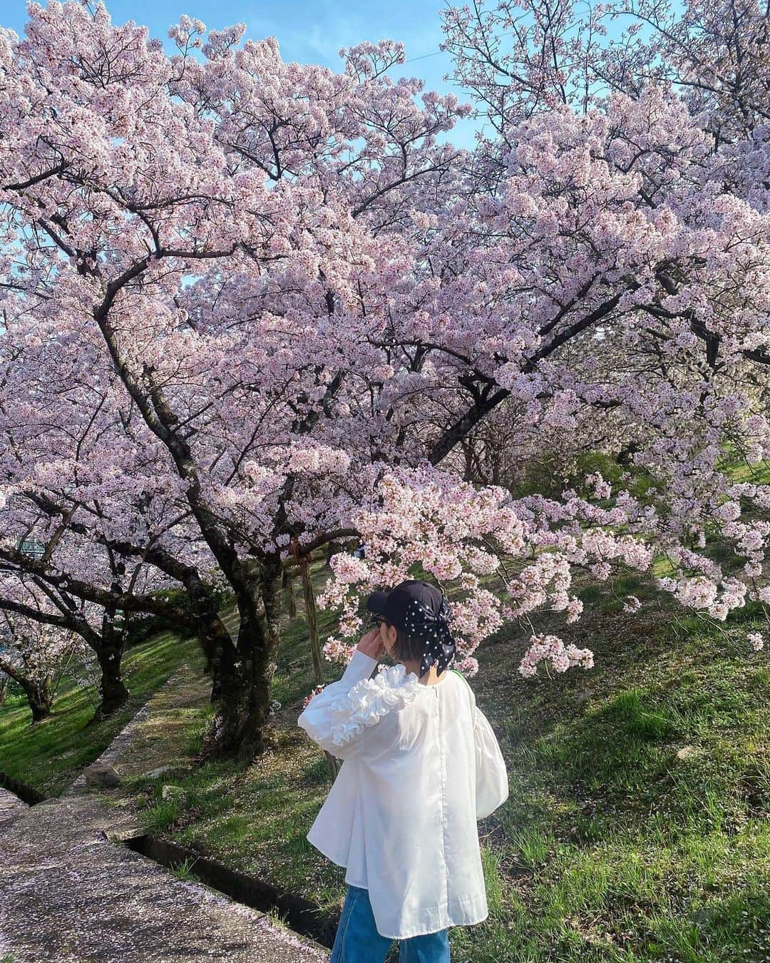松本亜希のインスタグラム：「・ 桜の下でpicnic🌸 桜最高だわ😌 今日はお花見してる方きっと多いよね♡♡  Relax Time...♡」