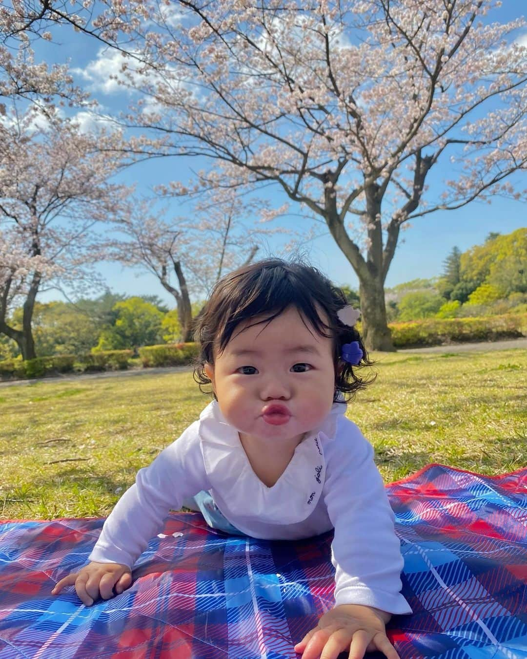 鬼辻麻衣さんのインスタグラム写真 - (鬼辻麻衣Instagram)「🌸  めっちゃ天気が良くて 桜も満開で、お花見日和だった日🌸  こんな気候のいい日にお花見できたの初めてかも❣️  人好きの👦🏻は、まわりに居る 👵🏻ちゃんや👧🏻ちゃん達にたくさん 遊んでもらえてめっちゃ楽しそうやった🤣 家では何をするにもママ！ママ抱っこ！こっち来て！ ってめちゃくちゃ求められるのに 外に行くと違う人の所に一目散🏃‍♂️ 優しい人ばかりで助かりまくる日々。  伶ちゃんはいつでもどこでも お利口ちゃんです👶🏻🌸🌸笑  #吉野公園　#鹿児島　#鹿児島お花見」4月1日 18時36分 - kitsumai