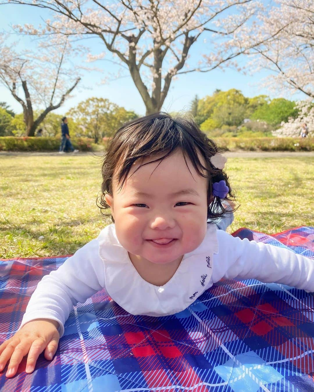 鬼辻麻衣さんのインスタグラム写真 - (鬼辻麻衣Instagram)「🌸  めっちゃ天気が良くて 桜も満開で、お花見日和だった日🌸  こんな気候のいい日にお花見できたの初めてかも❣️  人好きの👦🏻は、まわりに居る 👵🏻ちゃんや👧🏻ちゃん達にたくさん 遊んでもらえてめっちゃ楽しそうやった🤣 家では何をするにもママ！ママ抱っこ！こっち来て！ ってめちゃくちゃ求められるのに 外に行くと違う人の所に一目散🏃‍♂️ 優しい人ばかりで助かりまくる日々。  伶ちゃんはいつでもどこでも お利口ちゃんです👶🏻🌸🌸笑  #吉野公園　#鹿児島　#鹿児島お花見」4月1日 18時36分 - kitsumai