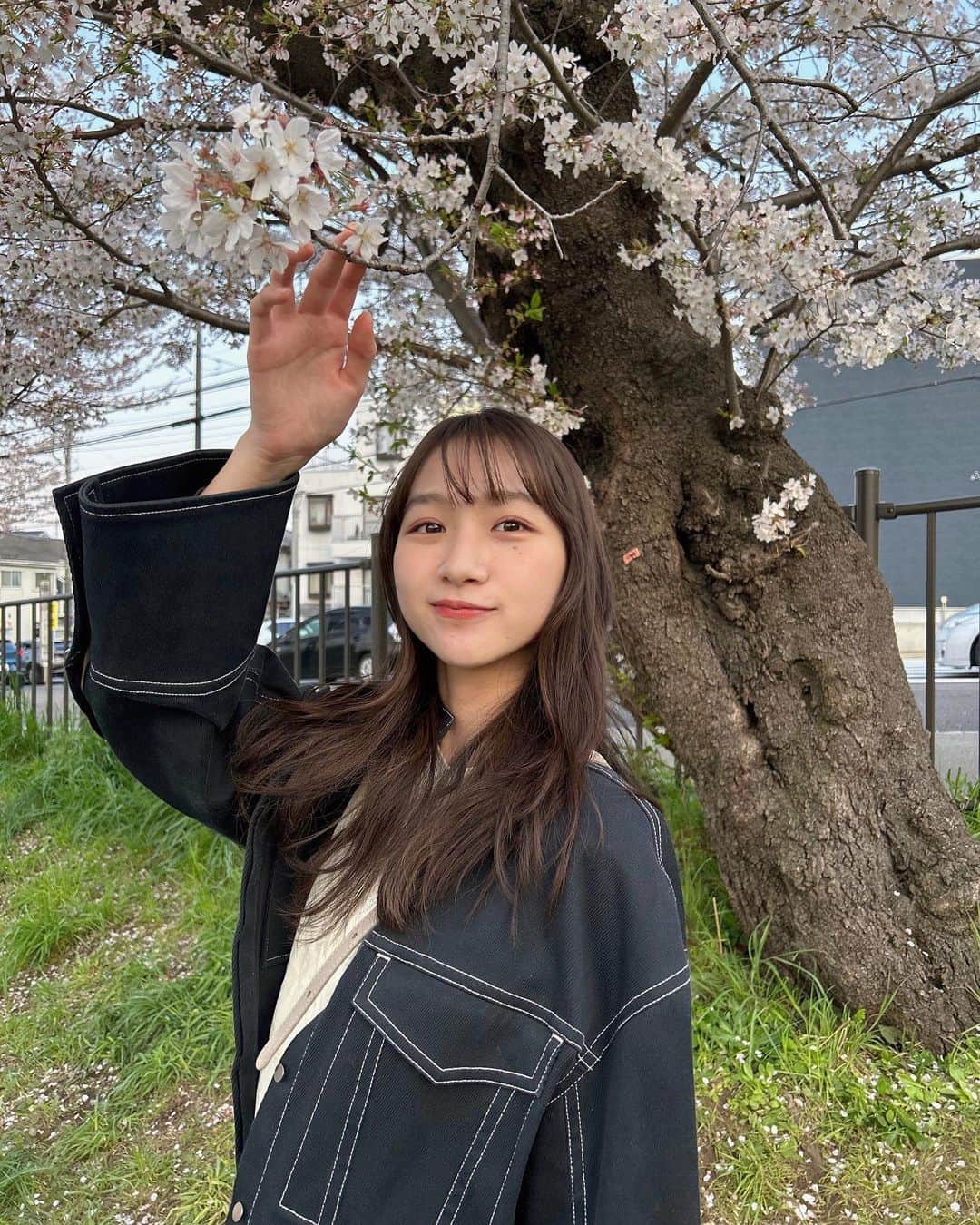 杉本愛里さんのインスタグラム写真 - (杉本愛里Instagram)「桜見に行けたよ🌸🤍」4月1日 18時30分 - 12_airiyade_21