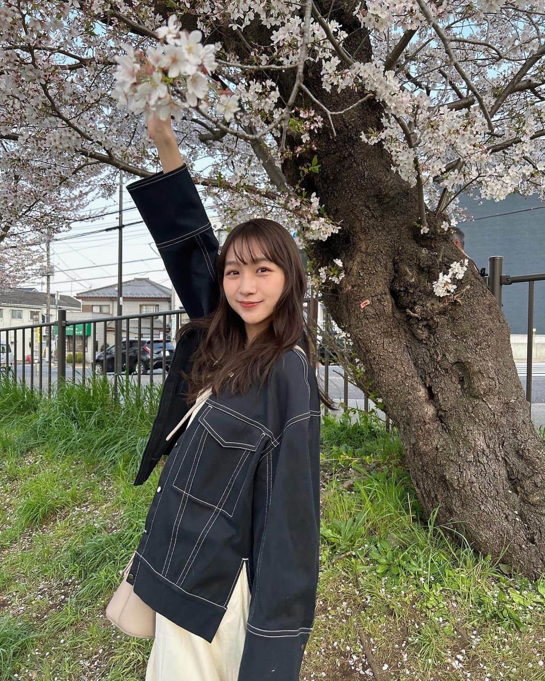 杉本愛里さんのインスタグラム写真 - (杉本愛里Instagram)「桜見に行けたよ🌸🤍」4月1日 18時30分 - 12_airiyade_21