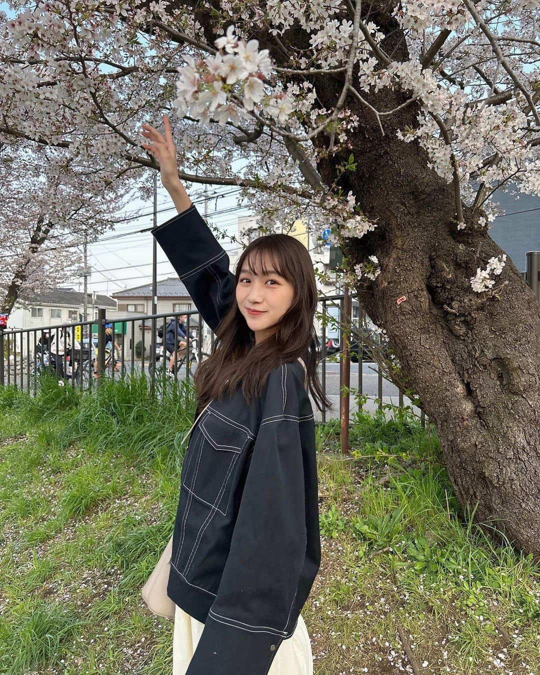 杉本愛里のインスタグラム：「桜見に行けたよ🌸🤍」