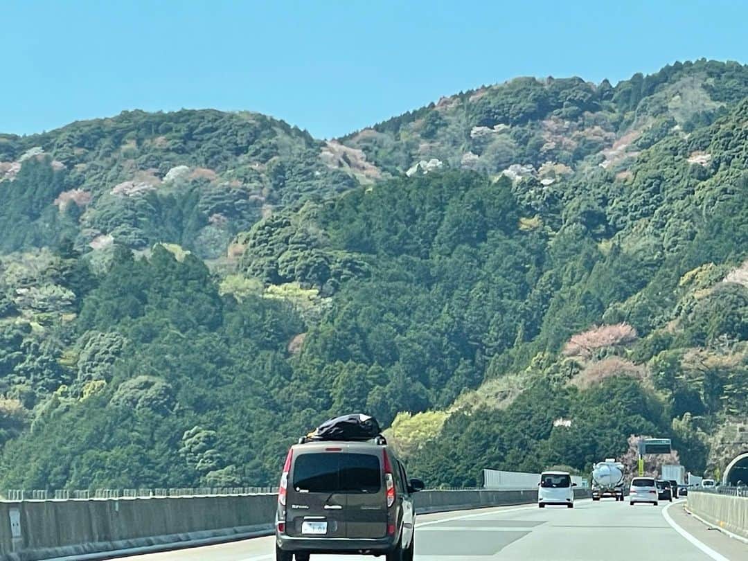 藤沢久美さんのインスタグラム写真 - (藤沢久美Instagram)「今日は、ようやく梅が咲いたばかりの河口湖を出発して、新東名で春爛漫の西へ。  車窓に広がる桜の花と新緑の萌が、とても美しい。この優しい色合いが和の色なんだろうなぁ。。  #春 #新東名 #桜」4月1日 18時31分 - kumifujisawa