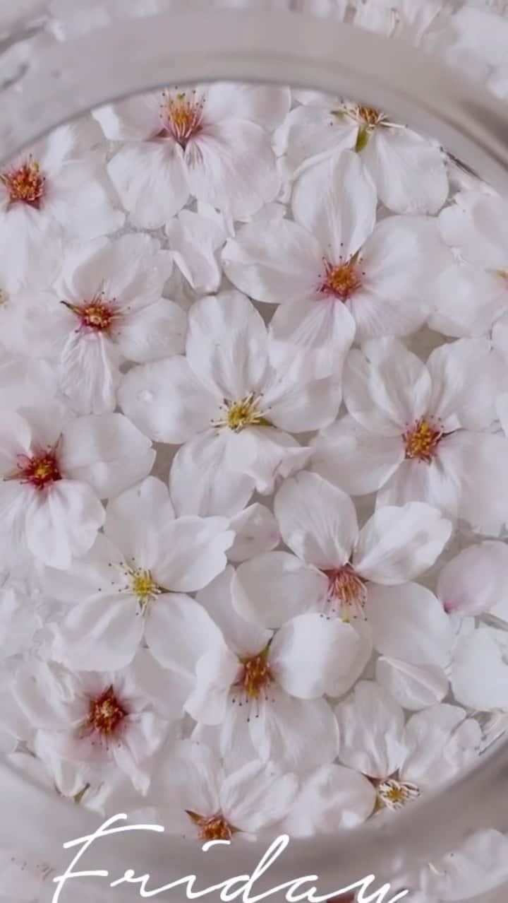 小松あやのインスタグラム：「. 𝕊𝕒𝕜𝕦𝕣𝕒 𝕨𝕖𝕖𝕜 𓂃𓈒𓏸🌸 　 先週の桜咲き始めは、あいにくの雨で花がまだまだきれいな状態で落っこってたので、花瓶に浮かべておうちで鑑賞🤳✨なかなか良いアイデアだと自画自賛🫰🏽← 　 今日はもう葉桜だったけど、お花見日和で楽しめました🍡葛西臨海公園は、混んでたけど、そもそもが広いからあんまりごみごみ感を感じなく、都内近くのお花見スポットにはおすすめでした🫶🏽広場もいくつもあるから子連れには特におすすめ！ 子どもたちは季節感ゼロの凧上げを楽しんでた🤭🪁笑 　 　 #お花見 #お花見スポット #凧上げ日和 #お花見日和 #子連れお出かけ」