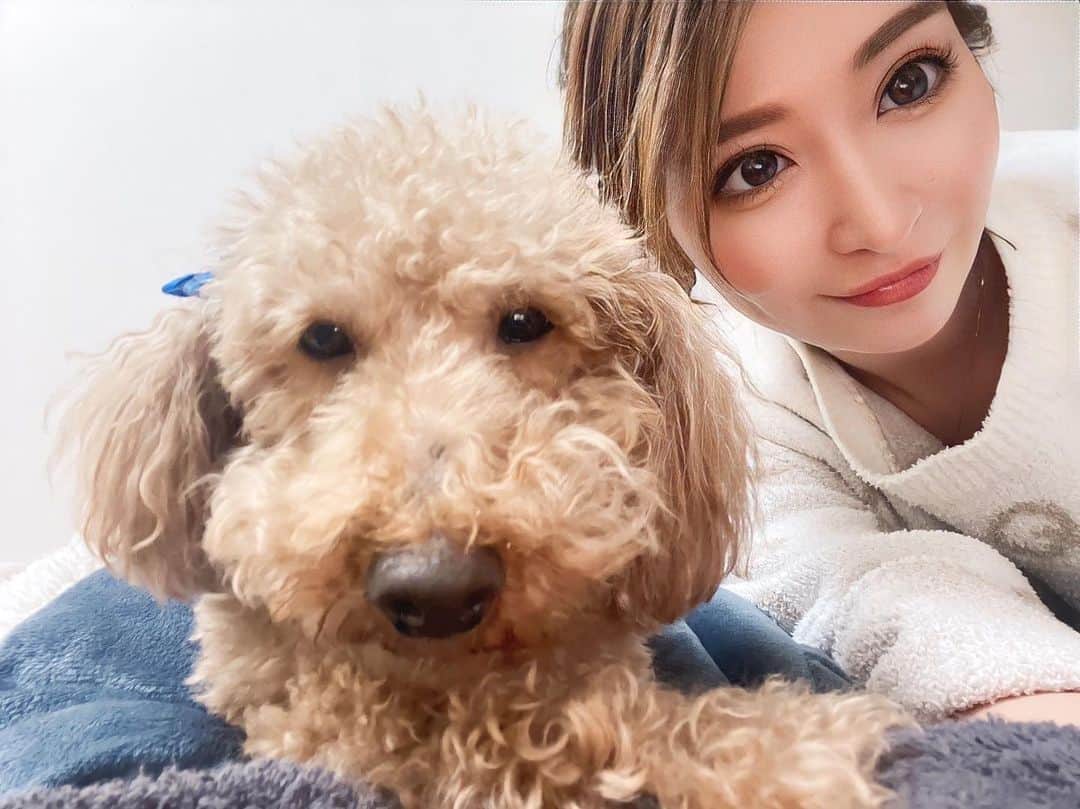 美波あいかのインスタグラム：「3月お世話になった方々 ありがとうございました😳♥️  今月はお誕生日月間となります！ 少しでもお顔出して頂ければ 幸いです✨✨ 楽しめますように♥️  今月も宜しくね🥰  #バルセロナグループ #Fillia #フィリア #札幌 #さっぽろ #すすきの #ススキノ #キャバクラ #キャバ嬢 #キャバクラ嬢 #ニュークラブ #ニュークラ #ニュークラ嬢 #キャバ #ホステス #ラウンジ #すすきのキャバクラ #すすきのキャバ嬢 #すすきのグルメ #札幌観光 #美人 #美女 #可愛い #可愛い女の子 #かわいい女の子 #銀座 #北新地 #錦 #中州 #六本木」