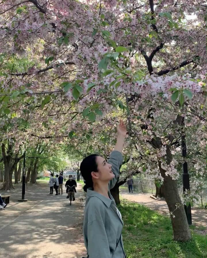 石坂友里のインスタグラム：「🌸🌸🌸🌸🌸🌸🌸🌸🌸🌸🌸🌸🌸🌸🌸🌸🌸🌸🌸🌸🌸🌸🌸🌸🌸🌸🌸🌸🌸🌸🌸🌸🌸🌸🌸🌸」