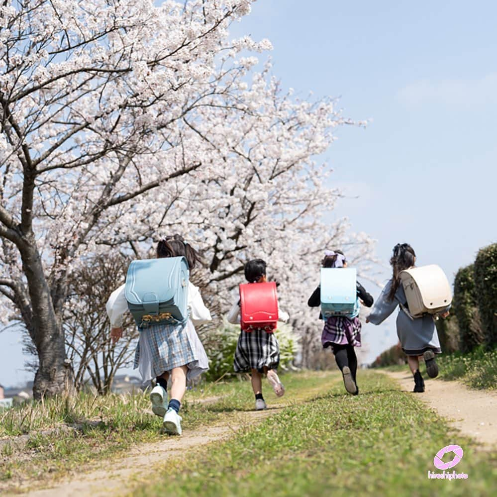 射水市フォトスタジオヒロシフォトのインスタグラム：「桜ロケ。  友ﾌｫﾄと小学校入学を。  仲良し4人  ポーズを決めたり走ってもらったり楽しんでもらえたかな？  #桜ロケ #友フォト #小学校入学  #ヒロシフォト」