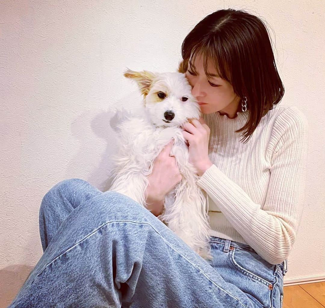 大河内奈々子さんのインスタグラム写真 - (大河内奈々子Instagram)「・ ・ 愛犬・タフィ🐶  何犬ですか？とよく聞かれます。 ミックス犬です。 嬉しい偶然が幸せなご縁になり家族になりました。  でもね 犬種はなんでもいいです。 タフィはタフィだもの。  今夜も一緒に爆睡しようね😴  #大河内奈々子 #nanakoohkouchi #doglover #雑種犬 #mix犬 #ポメラニアン #チャイニーズクレステッドドッグ  #chinesecresteddog #チャイポメ #世界に1匹」4月1日 18時40分 - nanakoohkouchi
