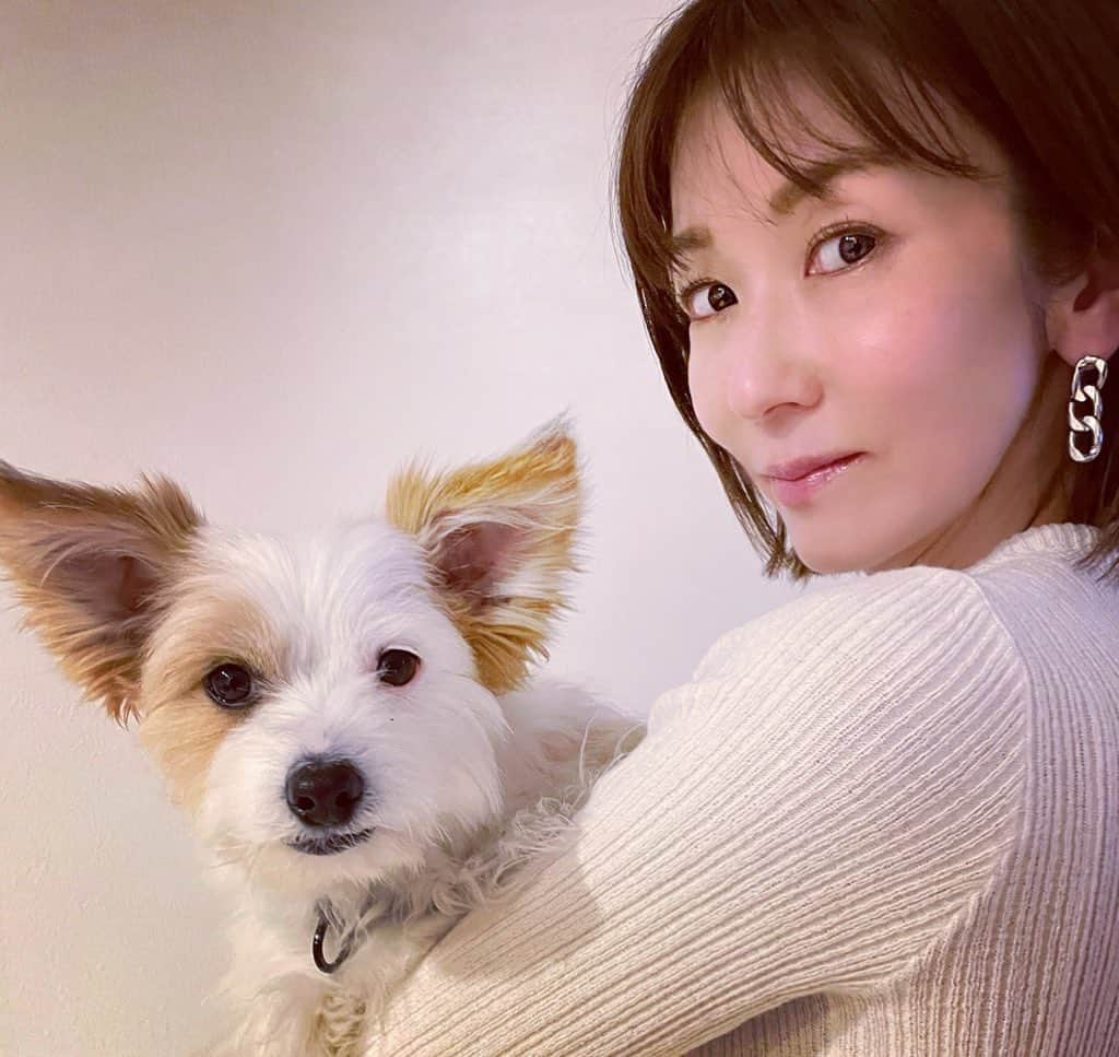 大河内奈々子さんのインスタグラム写真 - (大河内奈々子Instagram)「・ ・ 愛犬・タフィ🐶  何犬ですか？とよく聞かれます。 ミックス犬です。 嬉しい偶然が幸せなご縁になり家族になりました。  でもね 犬種はなんでもいいです。 タフィはタフィだもの。  今夜も一緒に爆睡しようね😴  #大河内奈々子 #nanakoohkouchi #doglover #雑種犬 #mix犬 #ポメラニアン #チャイニーズクレステッドドッグ  #chinesecresteddog #チャイポメ #世界に1匹」4月1日 18時40分 - nanakoohkouchi