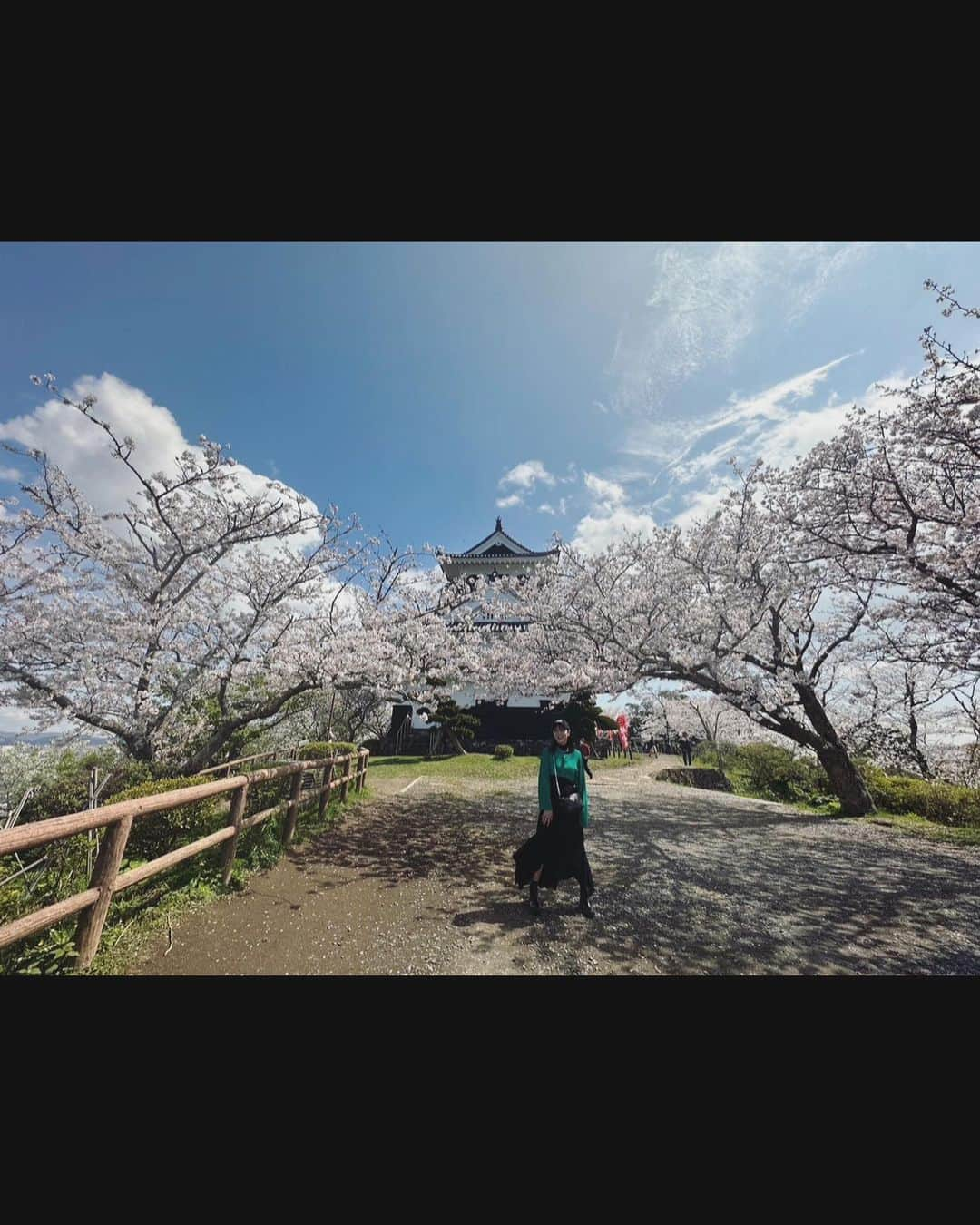 石川恋さんのインスタグラム写真 - (石川恋Instagram)「🌸🌸🌸 満開の桜に囲まれ聳え立つ館山城は圧巻でした🏯 今日から4月！ 私の場合大きく環境が変わるわけではないけど、毎年4月を迎えると背筋がピシッと伸びる感覚になります☺️ 新入学、新学期、新社会人、新生活、、この時期たくさんの新○○があると思いますが、皆さんがそれぞれの環境で凛と咲いていけますように。 私も本年度も頑張ります🌷」4月1日 18時41分 - ren_ishikawa