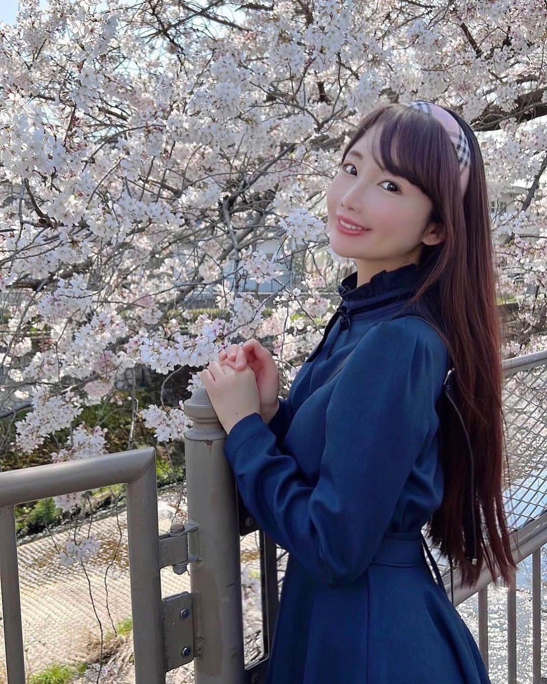 坂地久美のインスタグラム：「今日は、🌸桜祭り🌸行って来たよ🥰  桜の花びらがキラキラ舞ってとっても綺麗だったなぁ💕  #桜祭り #桜 #さくら #恩田川 #恩田川の桜」