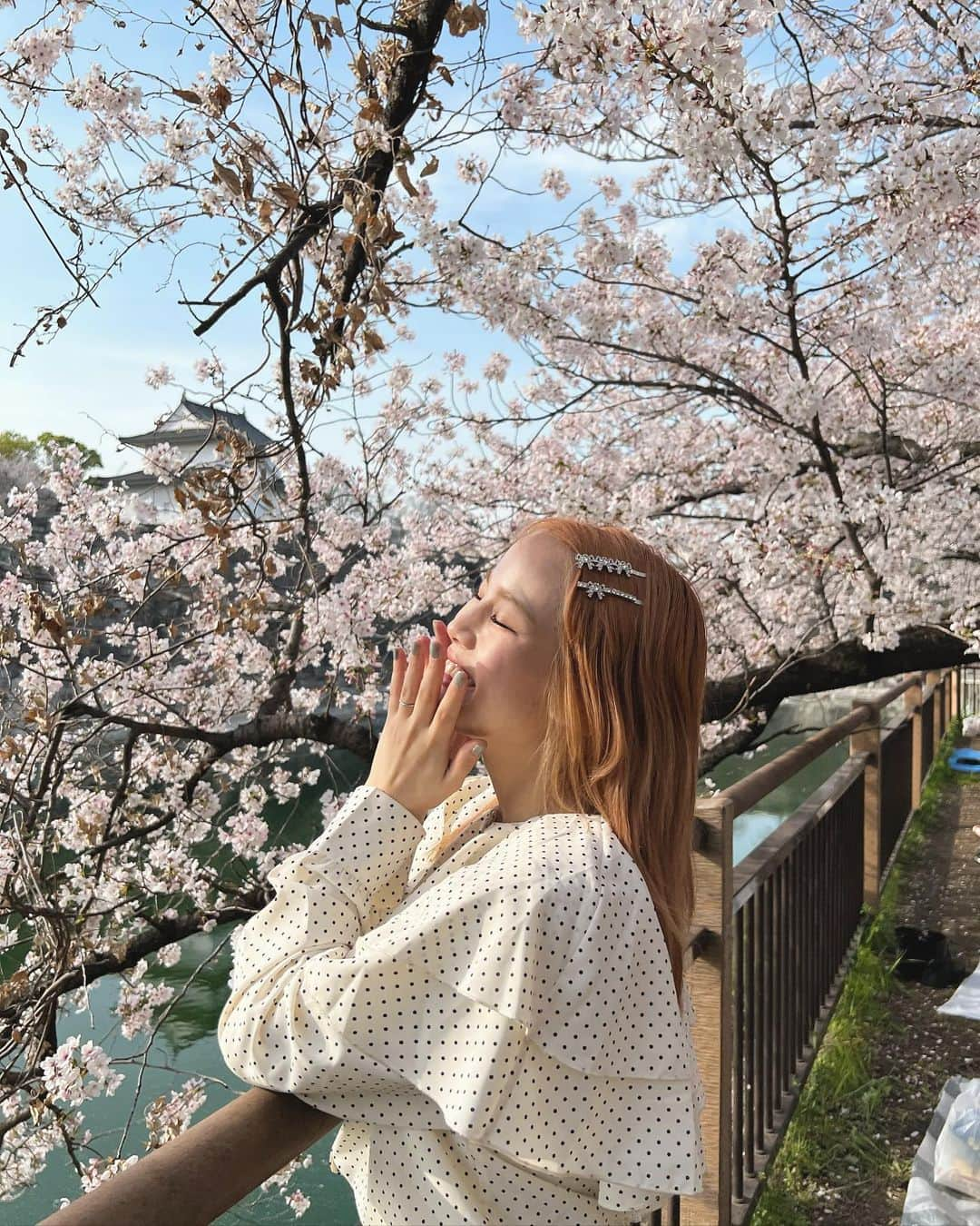 安中芙美さんのインスタグラム写真 - (安中芙美Instagram)「🌸 2日連続桜満喫😌 ノアははじめて桜を理解して『ピンク!キレイ!』って言ってくれました💓  少しずつ葉桜にもなってて見納めかなぁ🫣！」4月1日 18時49分 - fumitwinsworld