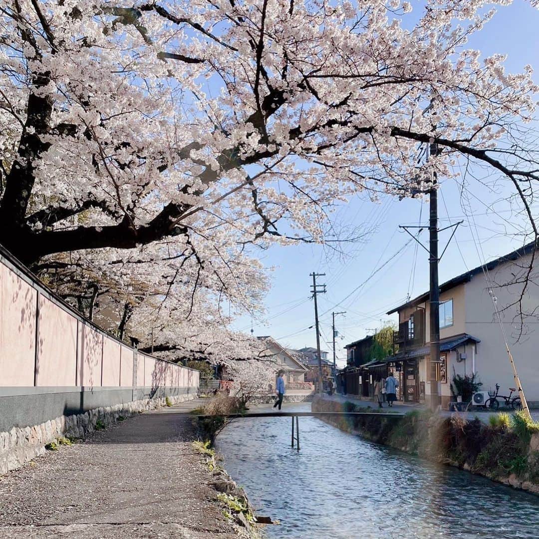 Sonoko Suzukiさんのインスタグラム写真 - (Sonoko SuzukiInstagram)「A very,  very happy and beautiful birthday in Kyoto.   feel like the cherry blossoms celebrated the beginning of the best age.  今年も頑張ります。  #happybirthday #mybirthday #🎂 #birthdayinkyoto」4月1日 18時49分 - _sonnie.co_