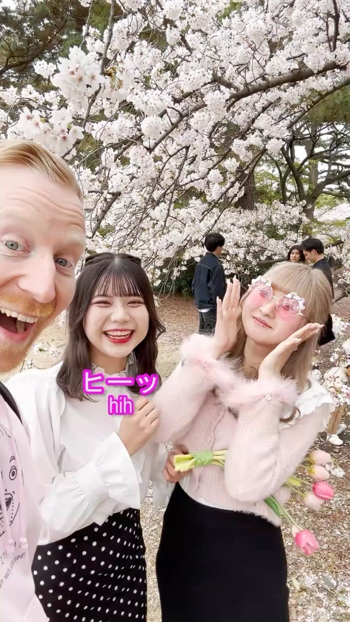ミスターヤバタンのインスタグラム：「桜が好きすぎる外国人！🌸 Cherry Blossoms in Japan 2023！  #ミスターヤバタン #桜 #さくら #やばたん #桜メガネ #cherryblossom」