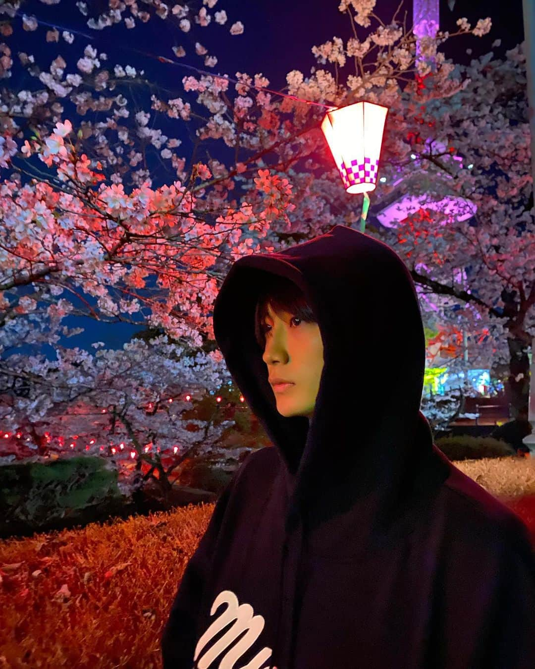 大久保琉唯さんのインスタグラム写真 - (大久保琉唯Instagram)「夜桜   #夜桜  #桜」4月1日 18時50分 - rui_912