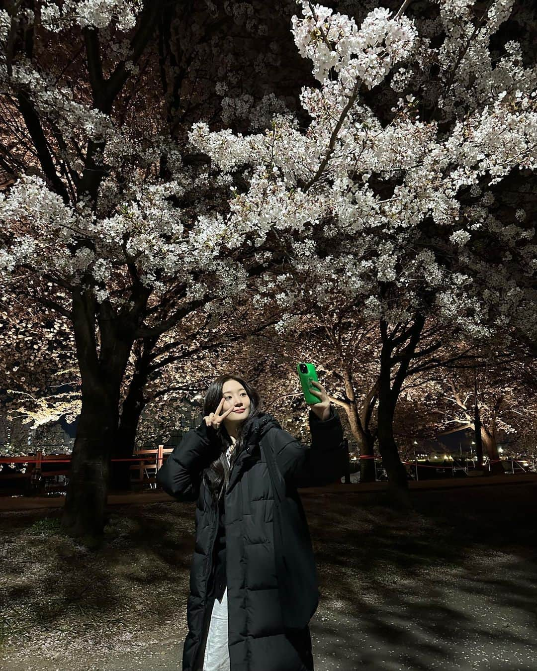 チョン・チェヨンさんのインスタグラム写真 - (チョン・チェヨンInstagram)「봄, 벚꽃 🌸」4月1日 19時00分 - j_chaeyeoni