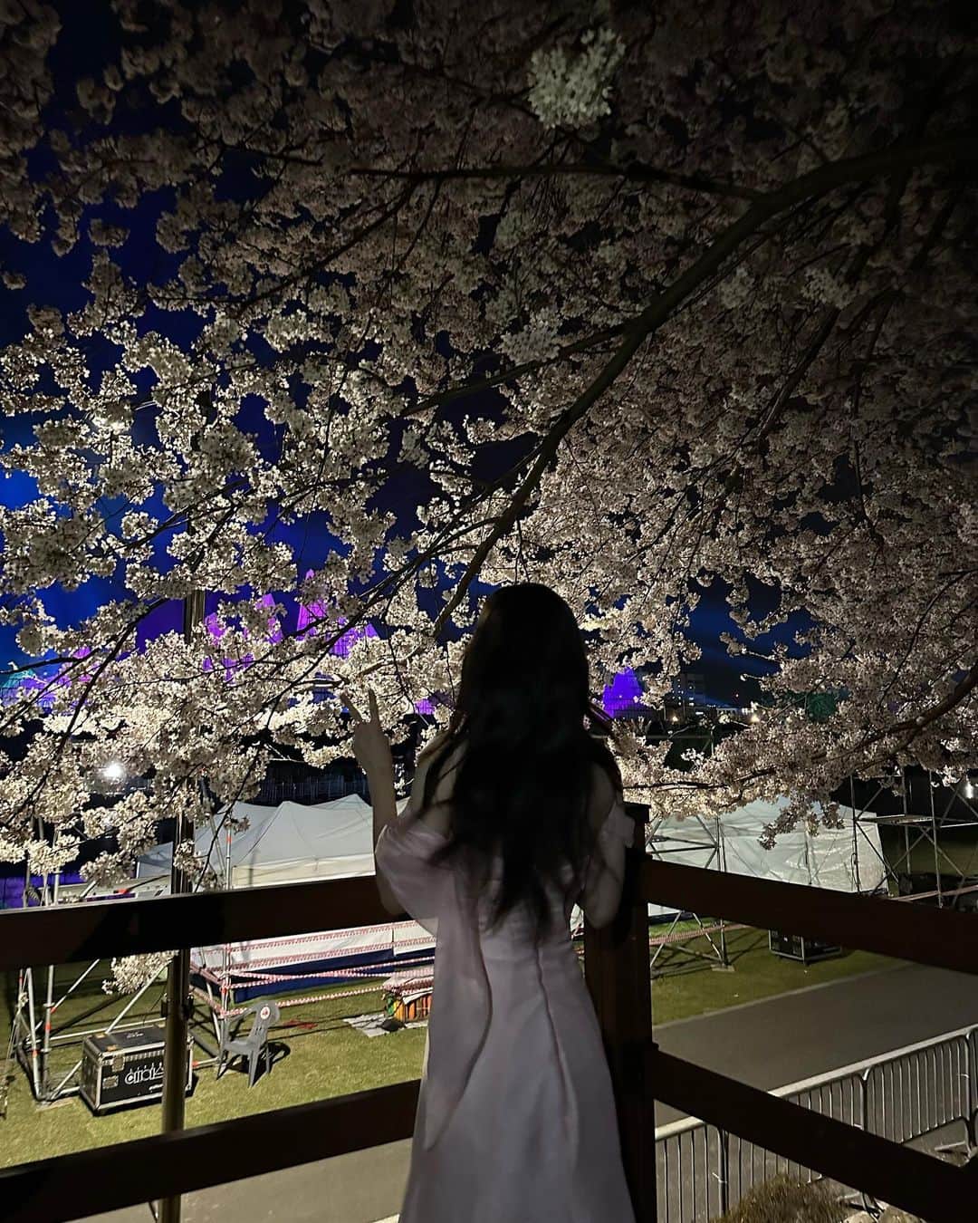 チョン・チェヨンさんのインスタグラム写真 - (チョン・チェヨンInstagram)「봄, 벚꽃 🌸」4月1日 19時00分 - j_chaeyeoni