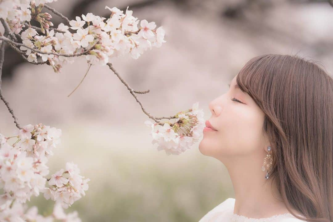 Mikaさんのインスタグラム写真 - (MikaInstagram)「🌸Sakura Kiss🌸  ・ ・ ・ photo by @makoko_1 📸 model @mikarin_portrait  ・ ・ ・ ・ follow me💋  #美花展 #ソメイヨシノ #桜ポートレート #春のおとずれ  #桜スポット  #桜が好き  #被写体モデル #カメラ女子 #キリトリセカイ #ポートレートセレクション #ポートレート撮影 #被写体依頼受付中 #スクリーンに恋して #カメラマンさんと繋がりたい #被写体なります #ポートレートしま専科 #写真を止めるな #jp_portrait部 #jp_portrait_collection #portrait #japanesegirl #asiangirl #love_camera_club #asianbeauty #portraits_dream #good_portraits_world #super_portrait_channel #cherryblossomseason  #japanesecherryblossom  #pasha_magazine」4月1日 19時12分 - mika_portrait