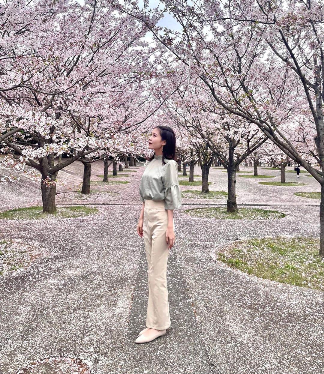 戸北美月さんのインスタグラム写真 - (戸北美月Instagram)「. 桜並木🌸  今年は開花も早く、 すっきりしないお天気が続いていて お花見に行けるか心配でしたが… 綺麗な桜を見ることができました😚  すでに散り始めていて、 桜の絨毯も楽しめました🌬  #桜スポット #お花見」4月1日 19時13分 - mizuki_tokita