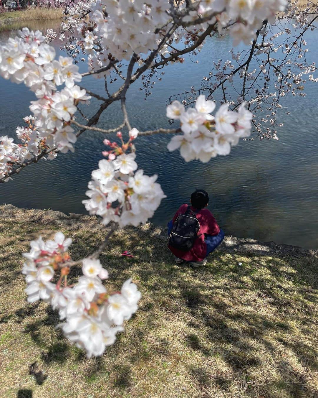yoka1124さんのインスタグラム写真 - (yoka1124Instagram)「☆ 𝕠𝕦𝕥𝕗𝕚𝕥 ☆  . 今日はお母さんとお散歩🚶‍♀️  桜が満開で🌸トンネルになっていて綺麗でした  最近、息子氏  冬虫夏草にハマっていまして、、  一緒にYouTubeを見ていたらなかなか綺麗で  息子がいなかったら知らない世界だったので  そーゆうのいいなぁと♡  @classicalelf_official の 2wayプリーツサロペットパンツ 楽ちんすぎて本気で最高なやつ  私は首元深めで着てるけど逆にすると詰まっていてそれもまた可愛い  そして今年初のサンダルは @erynnico ✖︎ @vivian_collection_official  を提供して頂きました！  ぷくっとした感じが可愛くて シンプルで履きやすくて色違いが欲しい♡  【500円クーポン配布＆送料無料期間】 3/30(木)12：00～4/5(水)12:00 ですって♡  . .  . #classicalelf #クラシカルエルフ #エルフコーデ #タイアップ#zozo #zozotown #zozo購入品 #zozotown購入品#高身長女子#高身長コーデ#40代コーデ #40代ファッション#大人カジュアル#プチプラ#30代ファッション #30代コーデ#骨スト#骨格ストレート#シンプルコーデ#キレイめカジュアル#viviancollection�#vivianshoes#vivianコーデ」4月1日 19時14分 - yoka1124