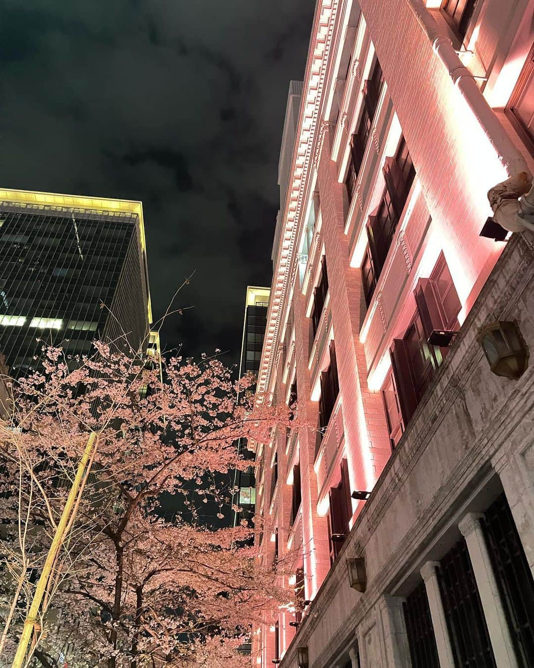 桑島 夢さんのインスタグラム写真 - (桑島 夢Instagram)「夜桜綺麗だったな🌸 今年はたくさん桜見れてうれしい💞  #夜桜#夜桜ライトアップ#桜#江戸桜通り#日本橋」4月1日 19時15分 - yumepi23