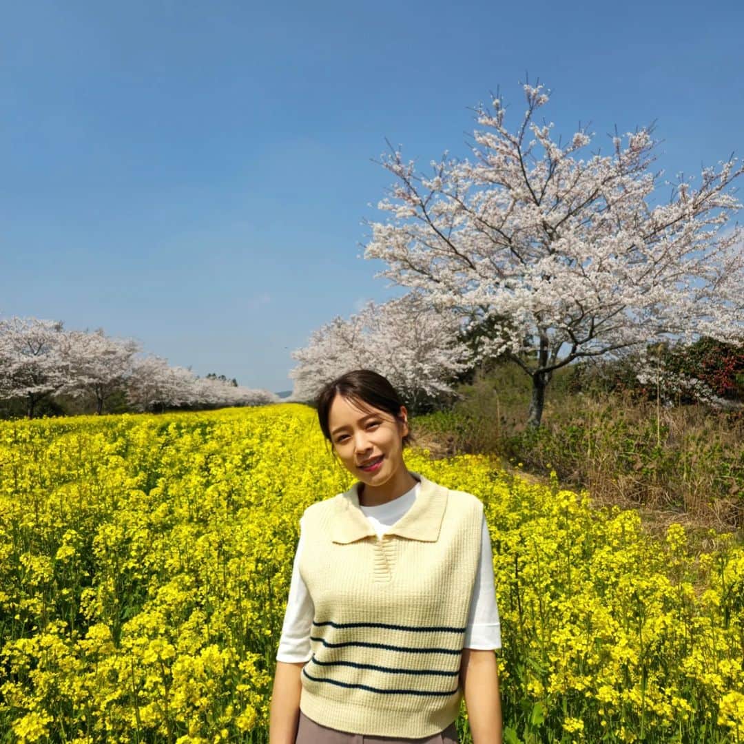 ホン・アルムのインスタグラム：「날 좋은날 행복🫶 . . . #제주도」