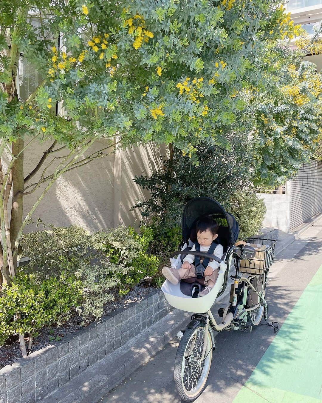 Yukaさんのインスタグラム写真 - (YukaInstagram)「念願のママチャリ🚲  去年の六月に両親からのプレゼント🎁 欲しかった電動アシスト自転車♡ 一歳以下は乗れないから、ずっとこの日を待ってた(⸝⸝o̴̶̷᷄ ·̭ o̴̶̷̥᷅⸝⸝)  いろんなメーカーあるけど、 何も考えず、 @panasonicjp の #ギュットクルームex にした デザインが一番お気に入りで、 チャイルドシートはコンビのものだから安心できる 色は淡色系が良いから、マットのベージュにした(⸝ᵕᴗᵕ⸝⸝)♡*゜  この前にストーリーに自転車の写真を載せたらすごい反響だった 台湾ではなかなか見れない前乗せタイプ 最初はコントロールできるか不安だったけど 思ったより安定していて、乗り心地が最高💕 息子もすごく喜んで乗ってくれたから、 最近ほぼ毎日サイクリングお花見🚴🌸 これからの買い物や公園遊びはもっと楽しくなる𓂃 𓈒𓏸𑁍‬  ┈┈┈┈┈┈┈┈┈┈┈┈┈┈┈┈┈┈┈┈  夢想中的電動腳踏車  去年六月的時候，爸媽送給我的大禮🎁 是我一直很憧憬的媽媽電動腳踏車 以前看日劇或是走在路上看到都覺得好棒 心想著未來自己也要擁有一台，載著小孩到處跑  前面乘坐的法定年齡是一歲以上， 所以買了遲遲沒有使用一直放置在家門口 終於～讓我等到兒子滿一歲，可以一起騎車兜風了  雖然有各種品牌，但我一眼就決定要國際牌的這款Gyutto Croom Ex 除了外型完全正中我的心以外，兒童座椅是採用combi的，很讓人放心 最重要的是顏色有我喜歡的霧面奶茶色🤍 所有條件都完美符合💖  之前在限時動態有上傳電動腳踏車的照片 收到不少私訊覺得造型很酷很特別 所以想說來發文一下留作紀念 一開始我也很擔心兒童座椅在前面龍頭的部分會不好操控 實際騎了發現比想像中的穩多了。 最重要的是兒子也很開心，比起嬰兒車，更喜歡坐腳踏車兜風的樣子☺️ 最近每天都騎車到處去賞櫻花🌸尋找各種有趣的公園 有了這台以後，超市買菜也變得更輕鬆方便 感謝爸媽幫我圓夢🥹🥹🥹💕  #panasonic#panasonicgyutto#panasonicjapan#bicycle#cycling#citycycle#babyboy#電動アシスト自転車#ギュットクルーム#ギュットクルームex#コンビ#自転車#ママチャリ#電動自転車#電動アシスト自転車デビュー#電動自転車デビュー#男の子ママ#男の子ベビー#男の子コーデ #新米ママ#ハーフベビー#国際結婚#子育て日記 @combi_babylifedesign」4月1日 19時23分 - loveyuka06