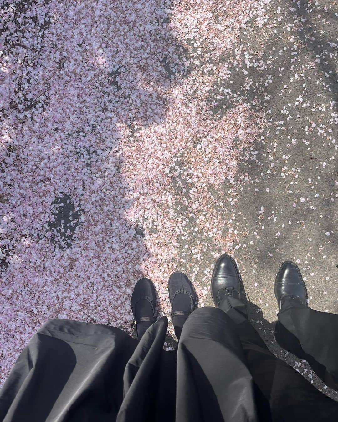 ミナ さんのインスタグラム写真 - (ミナ Instagram)「벚꽃엔딩🌸🌸🌸」4月1日 19時25分 - blossomh_