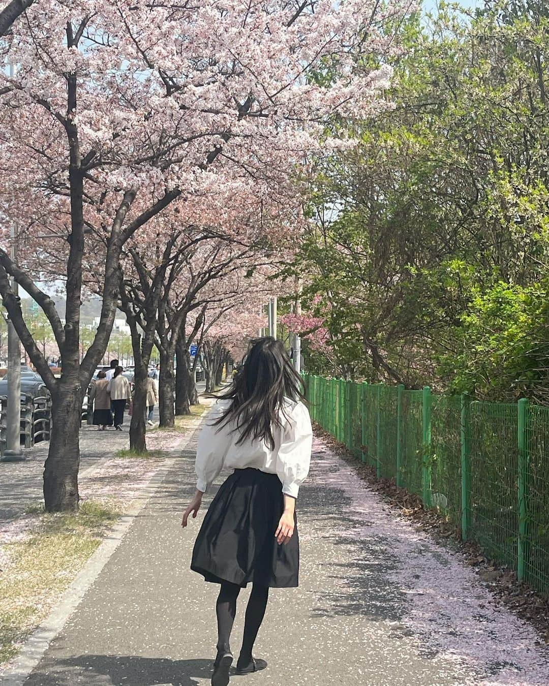 ミナ さんのインスタグラム写真 - (ミナ Instagram)「벚꽃엔딩🌸🌸🌸」4月1日 19時25分 - blossomh_