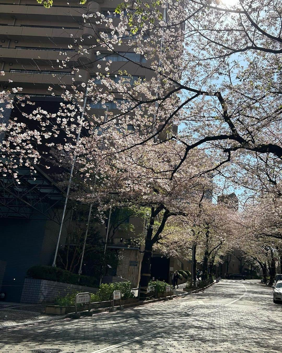 石榑亜紀子さんのインスタグラム写真 - (石榑亜紀子Instagram)「4月スタート きょうからテレビ東京「TXNニュース」の 土曜日の気象情報を担当します  短い時間で分かりやすく 気象情報をお届けしていきます🪄  TXNニュースは17時20分〜 気象情報は17時25分頃〜です ぜひご覧ください！  担当させていただくのは 4年ぶりになります 初回は滝汗でした… 初回、ありがとうございました  朝は六本木のスペイン坂を 帰りは赤坂の桜を愛でました  今年は結構、長持ちしてますね！ 今気づいたけど ちょっと桜色の夕空と…🌸🌇  衣装は私物です👗 ブラウス @forte_forte  スカート @clane_official   #桜色 #お花見日和 #夜桜 #スペイン坂 #新年度 #4月 #4月スタート #テレビ東京 #TXNニュース #気象情報 #天気予報 #気象予報士 #防災士  #東京の桜 #空 #そらふぉと #空が好き #空が好きな人と繋がりたい #空好きな人と繋がりたい #ランナー #ランニング女子 #ランニング好きな人と繋がりたい #ランナー #ランニング部  #ランニングアドバイザー #走る気象予報士 #アスリートフードマイスター2級 #食育インストラクター #空好きと繋がりたい」4月1日 19時28分 - guregure_46