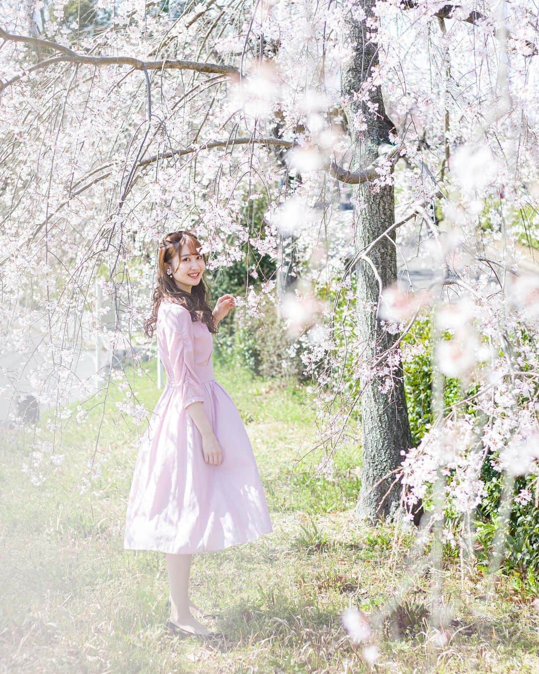 沢井里奈さんのインスタグラム写真 - (沢井里奈Instagram)「⠀ ⠀ デビュー11周年を迎えました💎✨  沢山の方々に支えて頂き、 この日を迎える事ができました。 感謝の気持ちでいっぱいです。  今後も日々精進します。 12年目も宜しくお願い致します💐🤍  #デビュー11周年」4月1日 19時46分 - sawairina