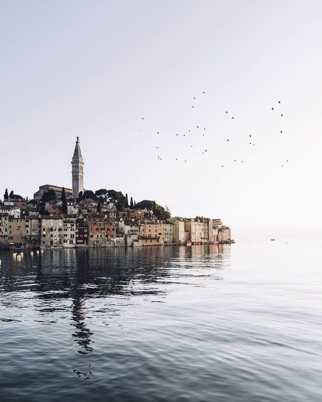 Thomas Kakarekoさんのインスタグラム写真 - (Thomas KakarekoInstagram)「Reflecting on my visit to Istria a few years ago - a region that offered a unique mix of stunning natural beauty and warm hospitality. As a photographer, I was deeply inspired by the landscapes - from the rolling hills to the crystal-clear waters - and I was fortunate to capture many memorable shots. However, it was the people of Istria who left the most lasting impression on me. Their warm hospitality and genuine kindness made my experience unforgettable. I'm grateful for the opportunity to have explored this region, and I hope to return soon to capture more of its beauty.  #istria #croatia」4月1日 19時39分 - thomas_k