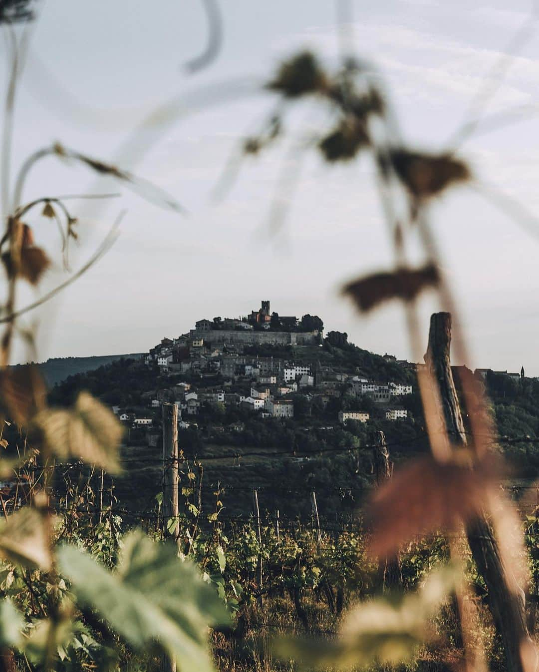 Thomas Kakarekoさんのインスタグラム写真 - (Thomas KakarekoInstagram)「Reflecting on my visit to Istria a few years ago - a region that offered a unique mix of stunning natural beauty and warm hospitality. As a photographer, I was deeply inspired by the landscapes - from the rolling hills to the crystal-clear waters - and I was fortunate to capture many memorable shots. However, it was the people of Istria who left the most lasting impression on me. Their warm hospitality and genuine kindness made my experience unforgettable. I'm grateful for the opportunity to have explored this region, and I hope to return soon to capture more of its beauty.  #istria #croatia」4月1日 19時39分 - thomas_k