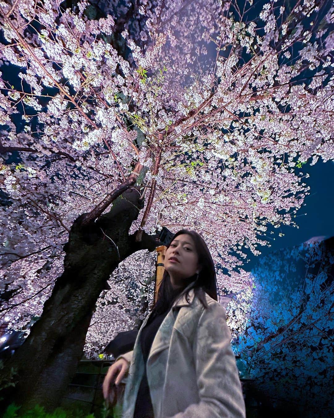 後藤郁のインスタグラム：「🌸  昨年は足首骨折の入院もあり、桜を堪能できなかったので、今年は軽やかなステップを踏みながら、都内屈指の桜の名所に行ってみた。  人混みが苦手で行ったことがなかったけど、やっぱり綺麗ね。  #夜桜」