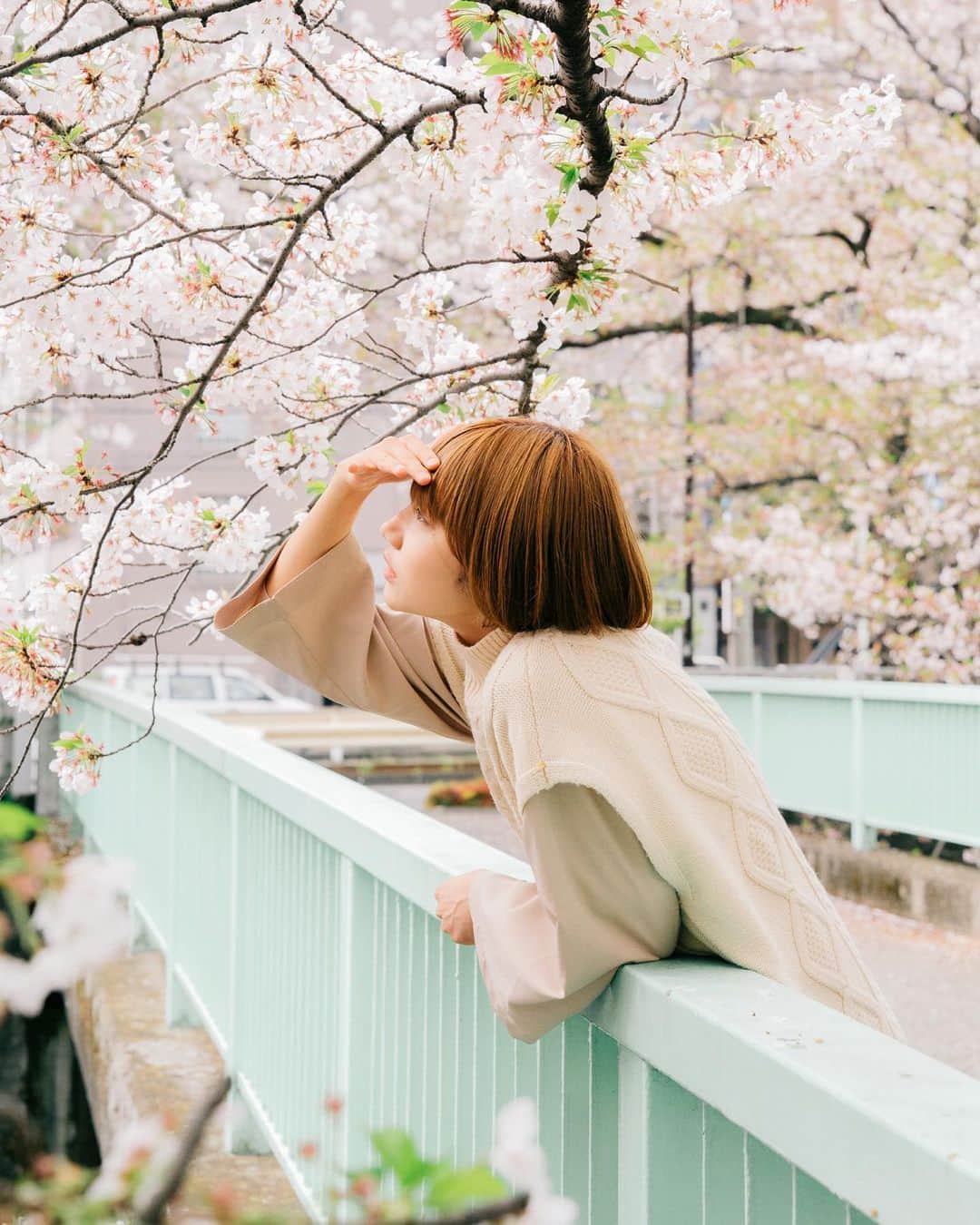 masayuki nittaのインスタグラム：「. 🌸」