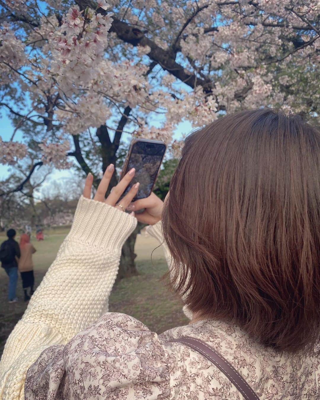 平崎里奈さんのインスタグラム写真 - (平崎里奈Instagram)「🌸🌸🌸 4月ですね🤭 今年はいっぱい桜見れました🌸」4月1日 19時54分 - hirasakirina