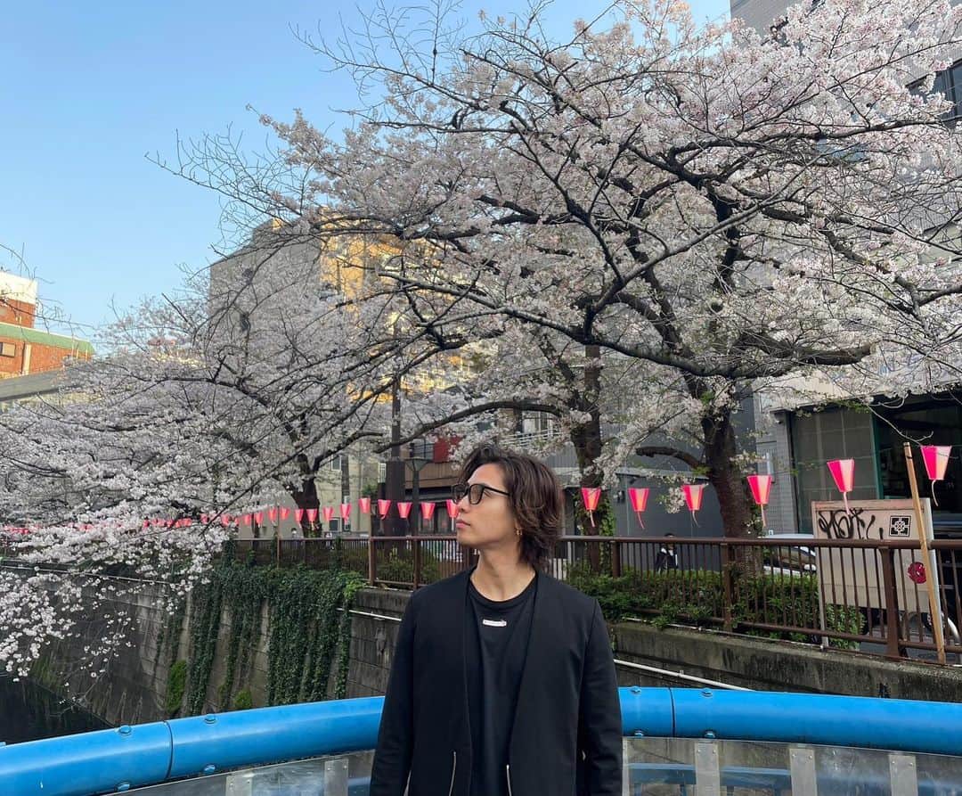 神谷健太のインスタグラム：「. 仕事を終えて 桜を見に行きました🌸 少しだけ散っていたかなぁ🤔  #さくら舞い散る中に忘れた記憶と」