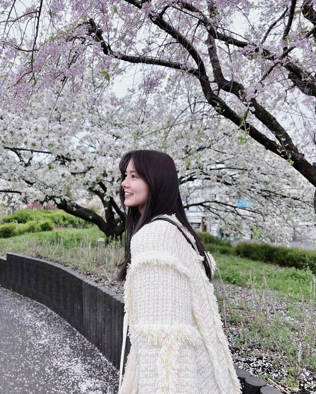 岡山友里愛さんのインスタグラム写真 - (岡山友里愛Instagram)「東京は満開の時期過ぎたけど、散ってる景色も好き🌸」4月1日 19時59分 - ___yuria____