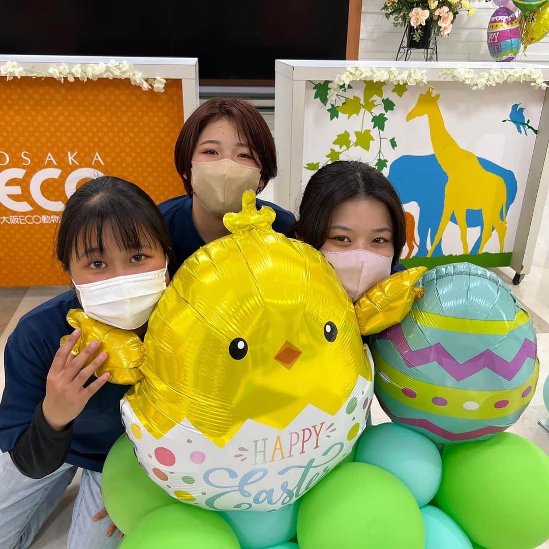 大阪ECO動物海洋専門学校さんのインスタグラム写真 - (大阪ECO動物海洋専門学校Instagram)「.  🌈🎓学生広報チームCharm.🎪🌼  Charm.卒業生のお別れ会を行いました🌷🤍 1年間の感謝の言葉を伝え合い、後輩にバトンタッチです✌🏼✨✨  卒業生の皆さん1年間お疲れ様でした！ 実習で疲れていてもきちんと参加して、Charm.を盛り上げてくれた2年生😌🧡 皆さんと楽しくワイワイ活動できたことがとても楽しかったです！ これからも活動していくので、後輩たちの頑張りを見守っていてね😉🌟  社会人になってお仕事をする中で、Charm.の活動が活きる場面がたくさんあると嬉しいです🥹☀️ 就職先でも、何事も楽しむことを大切に一生懸命頑張って下さい🏅✨  Charm.に入ってくれて本当にありがとう🤍✨ そして、改めて卒業おめでとう☺️🌸  #charm #学生広報 #卒業式 #大阪eco動物海洋専門学校#大阪eco #動物専門学校 #動物飼育 #動物園 #水族館 #飼育員 #ドルフィントレーナー #アクアリスト #動物看護師 #トリマー #ドッグトレーナー#動物好きと繋がりたい #犬好きと繋がりたい」4月1日 20時06分 - osaka_eco
