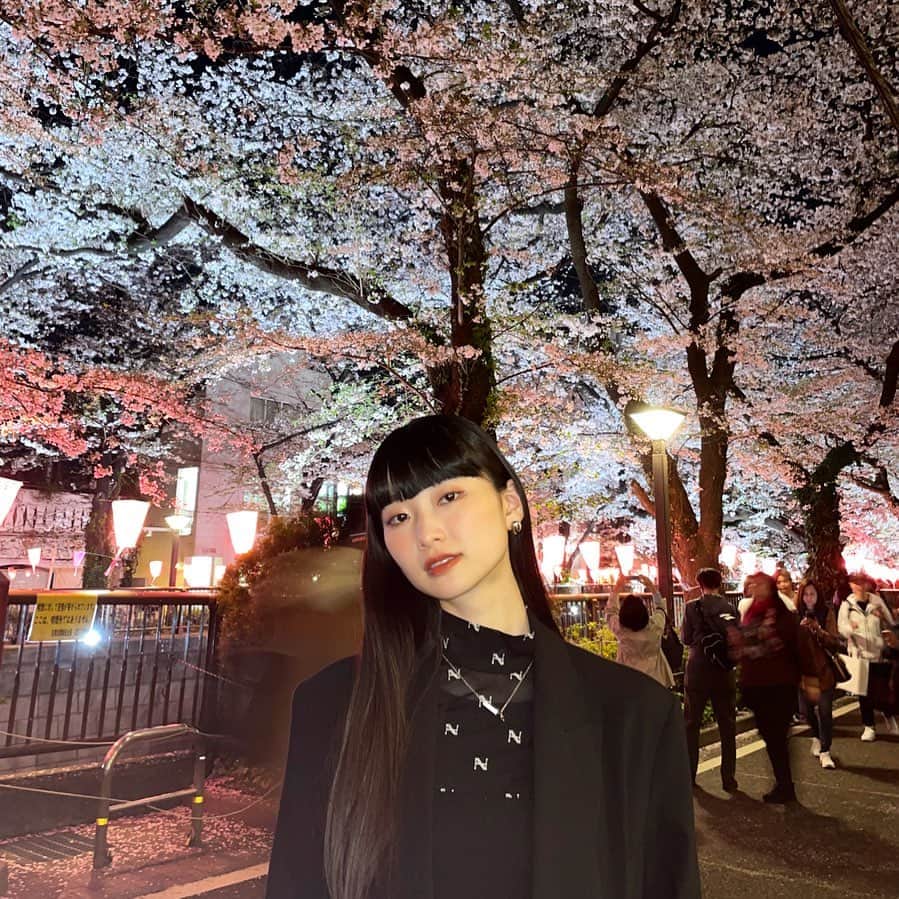 月山京香さんのインスタグラム写真 - (月山京香Instagram)「桜と人には会いたい時に会いに行く🌸」4月1日 20時06分 - i_am_kyoka_yade