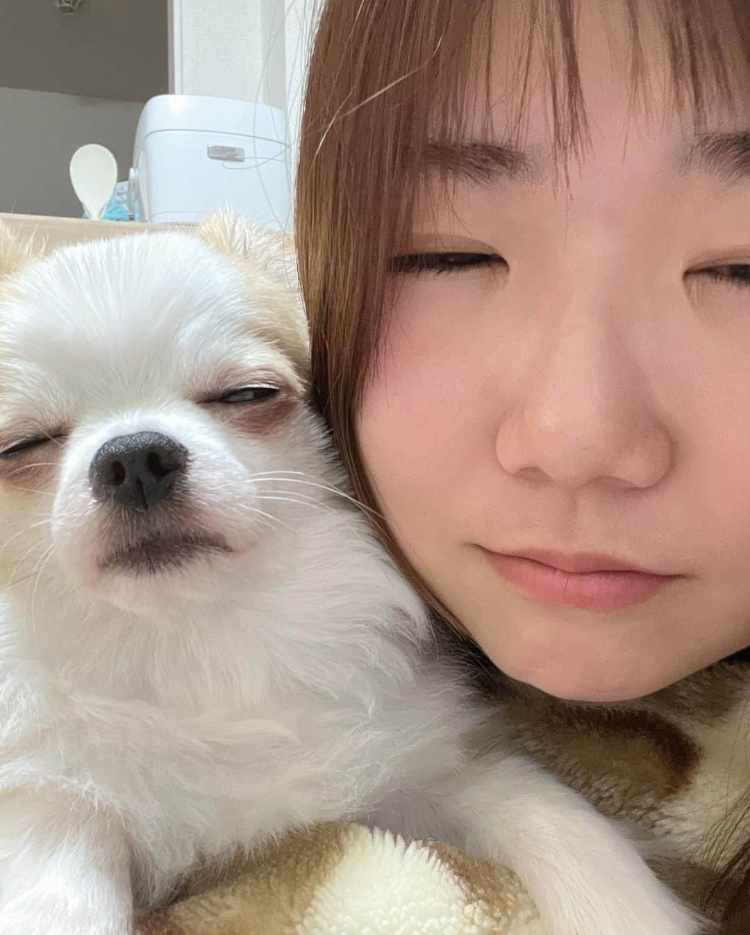 岩渕麗楽さんのインスタグラム写真 - (岩渕麗楽Instagram)「家族が増えました🐶 🫶🏻💕  #チワワ」4月1日 20時08分 - leila_iwabuchi