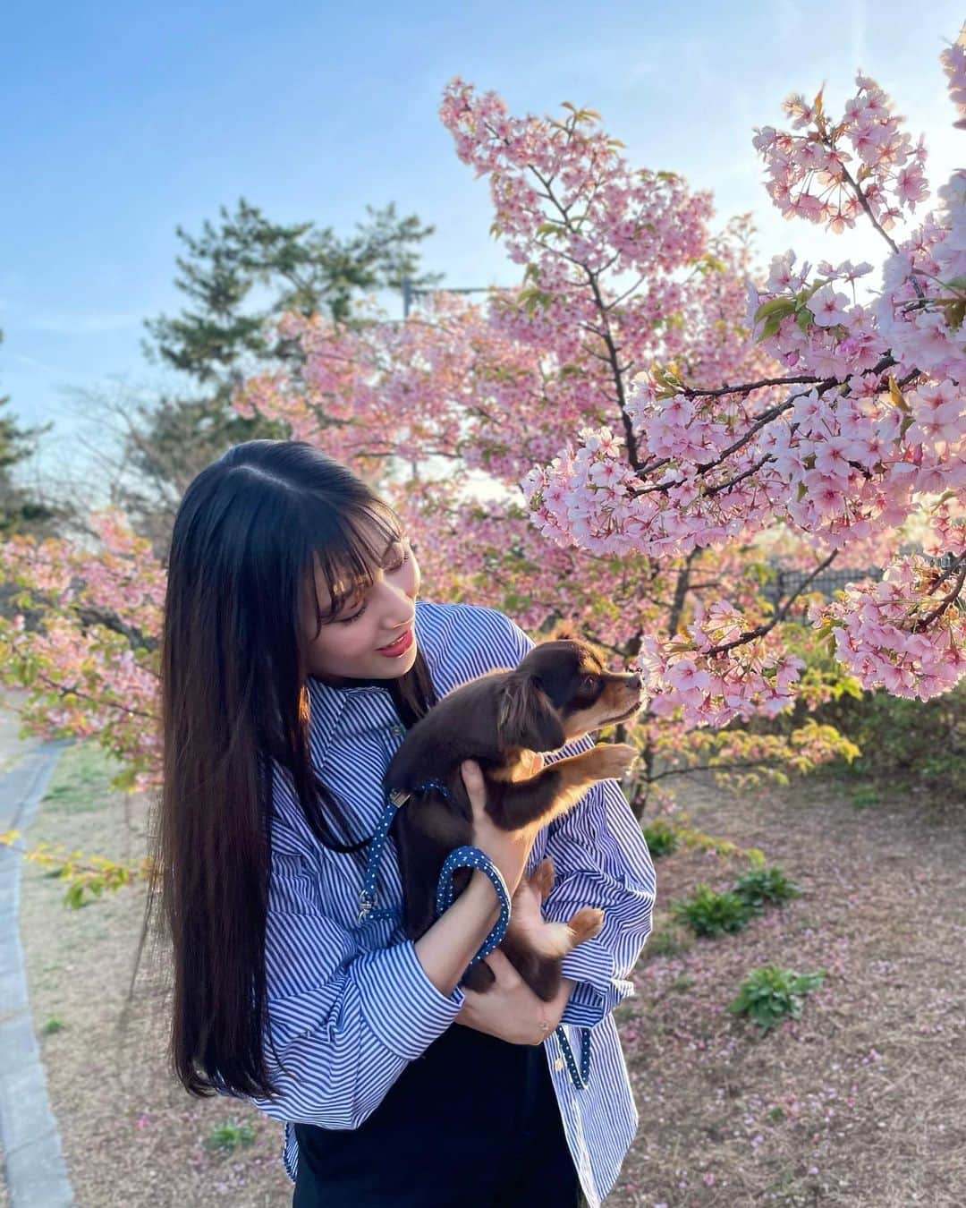 月野有菜さんのインスタグラム写真 - (月野有菜Instagram)「姉と姉の愛犬とお花見に行ってきました🌸🐶 ⁡ 宮島でワンちゃんもみじ焼きというものを買ったので公園であげたのですが、夢中で食べていました🍁 ⁡ 一緒にたくさん走ったのですが、速すぎてずっと引っ張られていたので疲れました😂 ⁡ 寒暖差が激しい時期なので皆さんお身体に気をつけてくださいね😌」4月1日 20時15分 - yuna_tsukino920