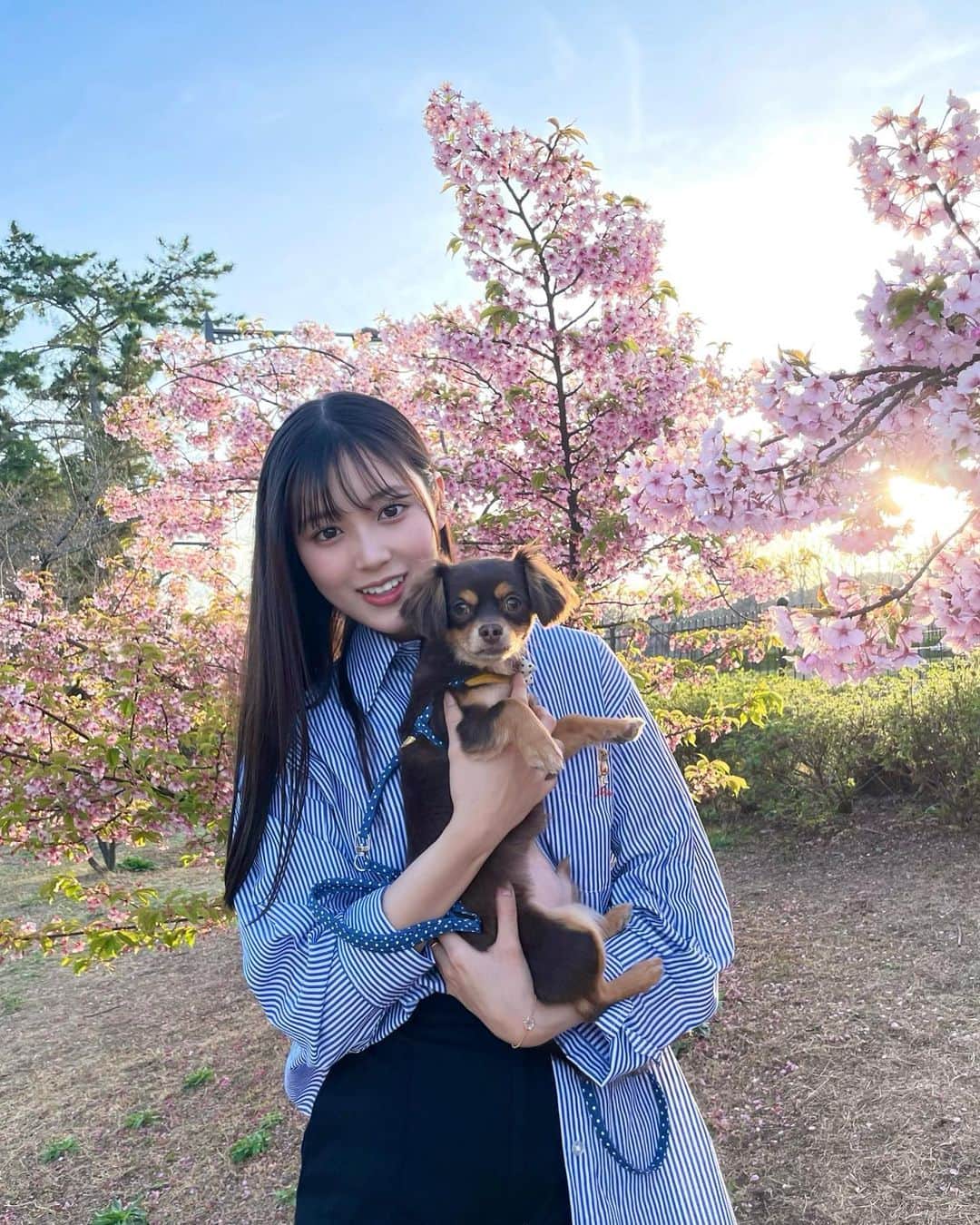 月野有菜さんのインスタグラム写真 - (月野有菜Instagram)「姉と姉の愛犬とお花見に行ってきました🌸🐶 ⁡ 宮島でワンちゃんもみじ焼きというものを買ったので公園であげたのですが、夢中で食べていました🍁 ⁡ 一緒にたくさん走ったのですが、速すぎてずっと引っ張られていたので疲れました😂 ⁡ 寒暖差が激しい時期なので皆さんお身体に気をつけてくださいね😌」4月1日 20時15分 - yuna_tsukino920