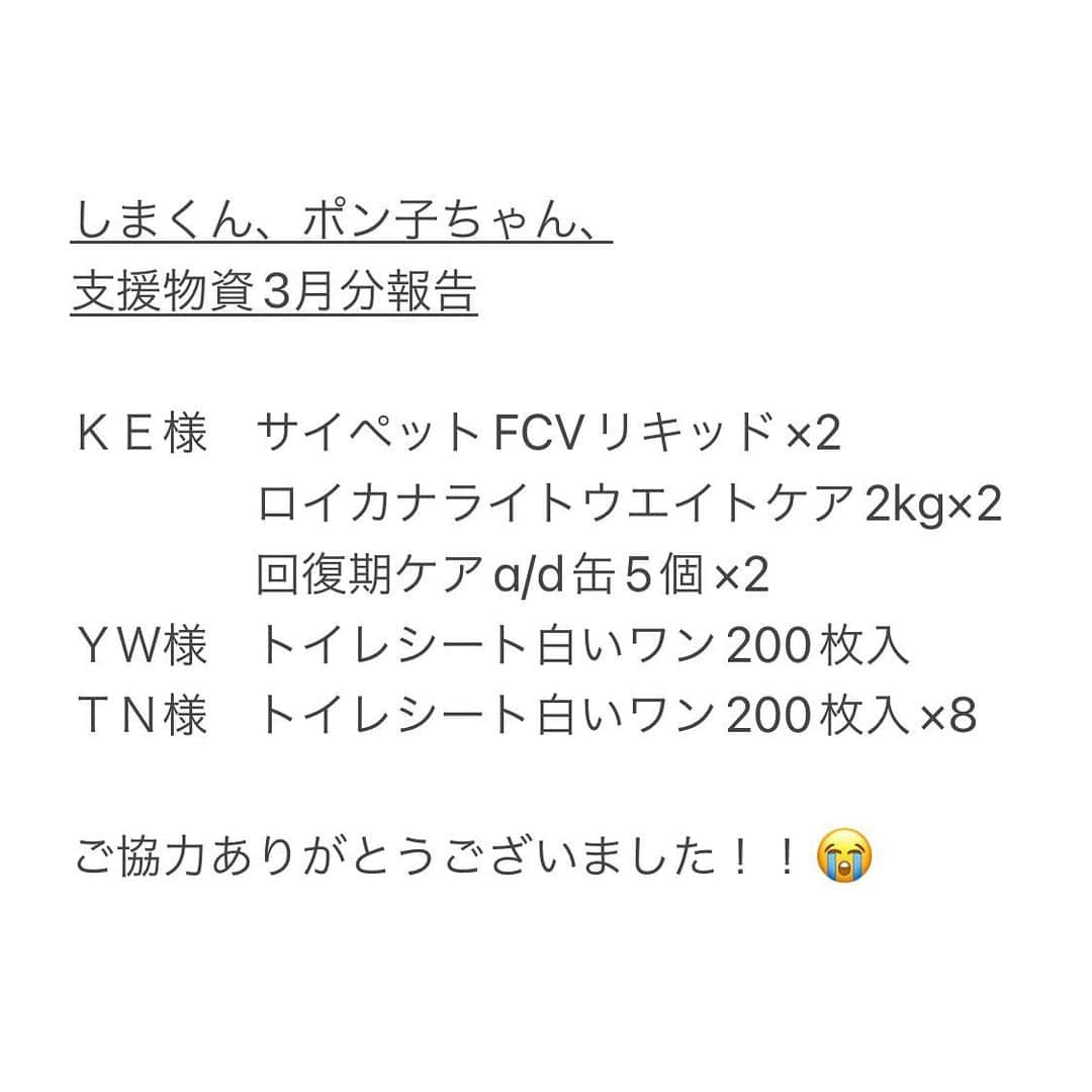 こむぎさんのインスタグラム写真 - (こむぎInstagram)「* 【追記：4月分必要数に達しました！ご協力ありがとうございました😭】  岐阜多頭崩壊レスキューの月初の「Amazonのほしい物リスト」4月分と個人的に保護しているニャンコたちへのリストと2種類を作らせていただきました🙇🏻 もう4月…💦あっという間ですね😭  ほしい物リストは私のインスタのプロフィールのURLにあるhandshakeの1番下からご覧いただけます🙇🏻 支援物資は取りまとめて後日イニシャルでご報告させていただいておりますので、可能でしたら匿名にせずお送りいただけますと嬉しいです🙇🏻  この崩壊現場のレスキューが始まったのは2019年の10月…💦完結までに本当に時間かかってしまい申し訳ないです🙇🏻 当初から比べると頭数はかなり少なくなって来ましたが、病気療養中の子のケアをしているため引き続きご無理のない範囲でご協力いただけますと助かります🙇🏻🙇🏻  崩壊現場の詳細は以前に受けたインタビューにまとめてくださってあります。Googleで「いい部屋ペット　多頭飼育崩壊」で検索すると記事が出てきます🙇🏻  残りの5ニャンですが、おかげさまでどの子もだいぶ健康状態も上向きになってきました😭  あると🐈‍⬛6歳♀ 貧血も落ち着いたため、通院も減りそうです🥺👏預かり先→ @asano.aoi   つばめ🐈‍⬛6歳♂ 免疫介在性溶血性貧血のつばめの血液検査も安定してきたため、年4回の血液検査で様子見となってきました🙏🏻預かり先→ @asano.aoi   まだら🐈6歳♀ 腎結石があるまーちゃん、月一で検査していましたが血液検査も安定して次の受診はもう少し間隔を開けて良くなってきました🤗預かり先→我が家でお世話しています。  かめ🐈6歳♀ 慢性膵炎、慢性肝炎、重度の腸炎があったかめちゃん、血液検査安定しています🙆‍♀️ 折れてしまった犬歯の抜歯の予定もまた今後考えていく予定です🙏🏻預かり先→ @musashi_kun0508   りす🐈7歳♀ 先日投稿したとおり預かり先が変わりました🤗多少アレルギーがありますが安定しています🙆‍♀️甘えん坊でもうゴロゴロ言っているみたいです🤭りすちゃんは慣れるの早そう✨預かり先→ @ebikun_neko   ほしいものリストは免疫介在性溶血性貧血のつばめのためのサプリや投薬用パウチ、まだらちゃんの療法食や猫砂やシートを載せています🙇🏻  どうしても多頭飼育崩壊現場は頭数も多いうえに、治療が必要の子たちも多く、全頭を幸せに繋げるためにはかなりの時間が必要になります…💦  これから子猫が保護される季節になりますが、こうした里親さんが見つからない成猫たちの存在に気がついてもらえたらなと思っています☺️✨  年齢があがると色々あるのは人間も猫も一緒。一つの個性と捉えてうまくお付き合いしていけたら🙏🏻✨  毎月皆様のご協力により、この子たちのケアをしっかり出来ています😭✨ 引き続きご無理のない範囲で応援いただけますととってもとっても嬉しいです😭  ほしい物リストは、たくさん物資をいただきすぎて余らせてしまってもいけないので、概ね1ヶ月分ごとに作らせていただいております🙇🏻 必要な物資が購入されますとリストから消えていきますので、リストに物資がなければ必要数に達したものとお考えください🙇🏻  また、2枚目の写真は先月分をご支援くださった方のイニシャルのご報告です🙇🏻 本来であればお一人お一人にお礼を伝えたいところですが中々バタバタで個別にお礼の連絡が出来ずに申し訳ありません…😭 イニシャルも読み方に間違いがありましたら申し訳ありません🙇🏻記載誤りなどありましたらまたご連絡くださいませ🙇🏻✨  過去の現場の様子はストーリーのハイライトやIGTVからご覧いただけます。 里親募集中の子の掲載用アカウントはこちらです🤗✨→ @comugineko  1匹(かめ)は関東地方で、4匹は東海地方で里親様募集中です(遠方要相談)🙏🏻  支援金の方は青井さんが毎月取りまとめをしてくださっています。つばめやあるとのことも🙏🏻→ @asano.aoi 支援金の振込先も青井さんの投稿に載っております🙇🏻 どうぞ宜しくお願いいたします🙇🏻  #岐阜多頭崩壊レスキュー #多頭飼育崩壊  ＊＊＊＊＊＊＊＊＊＊＊＊＊＊ 崩壊現場の子達とは別の我が家の保護猫たちのこと  現在、崩壊現場とは別で外から保護した猫たちは、猫エイズのしまくんと猫白血病のポン子ちゃんの2匹です。 くしくもキャリア組の2匹ですが、本当にどちらも甘えん坊で可愛い子達です😭 体調もおかげさまでだいぶ安定してきました！😭 ポンちゃんは今日病院だったので、また改めて投稿します☺️  個別保護の子たちの支援物資のご協力もお願いできたら大変助かります🙇🏻🙏🏻✨ いつもありがとうございます😭😭😭  #保護猫 #里親募集猫 #里親募集中猫」4月1日 20時16分 - tomochunba