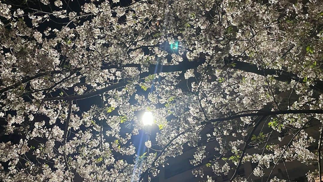 宮里ソルさんのインスタグラム写真 - (宮里ソルInstagram)「・ ありがと大阪」4月1日 20時23分 - sol.xce
