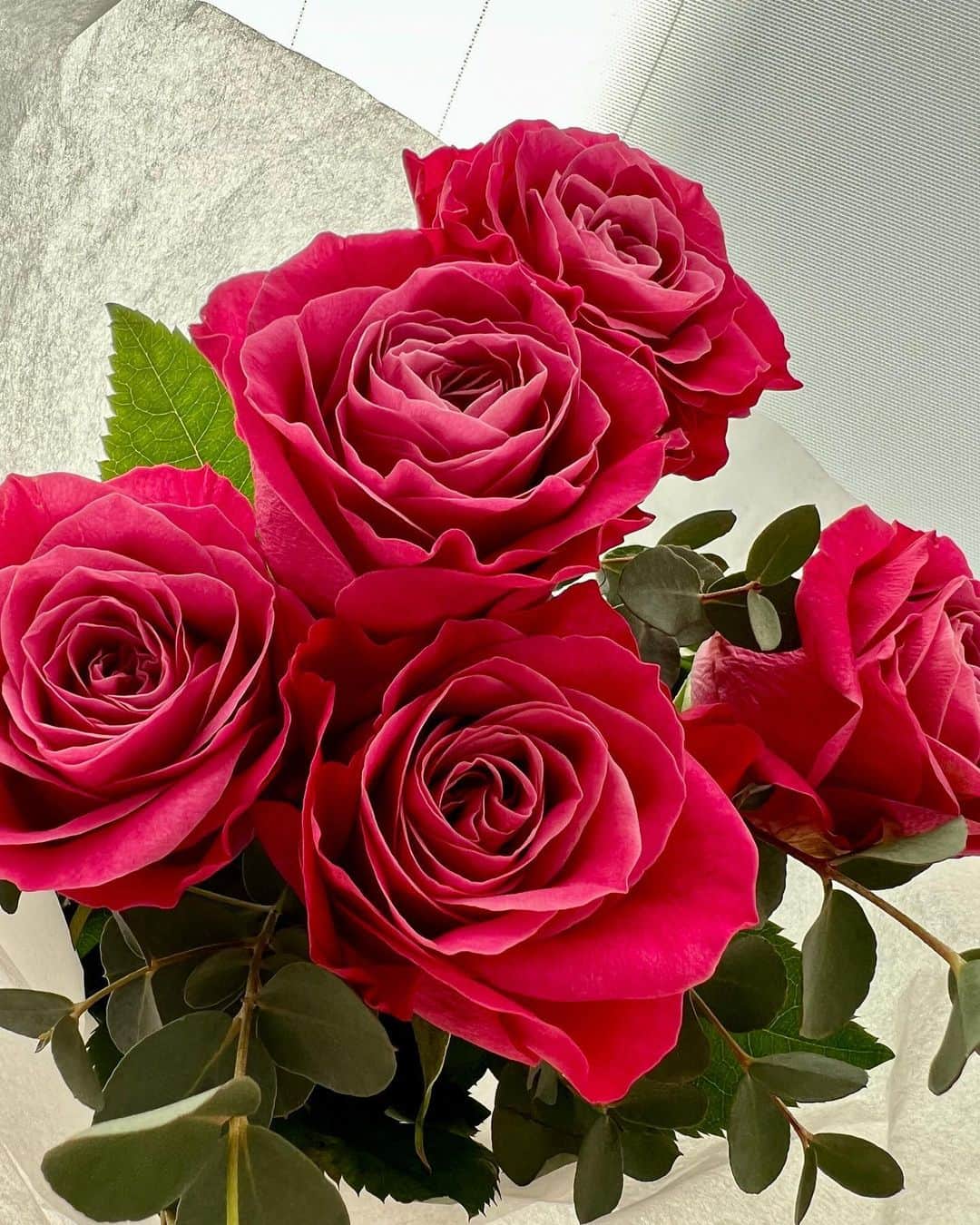 畑中香澄のインスタグラム：「薔薇の花がいい匂い〜🌹  今月の薔薇はプライムチャーム、 それからユーカリでした🤍  プライムチャームは濃淡のグラデーションが可愛い🥰 . . #moafura  #モアフラ #お花の定期便 #お花のある暮らし #バラ花束 #バラ定期便 #バラサブスク #バラギフト #花 #Flower #花のある暮らし #花好きな人と繋がりたい #フラワーギフト #薔薇が好き #プライムチャーム #ユーカリ #花束」