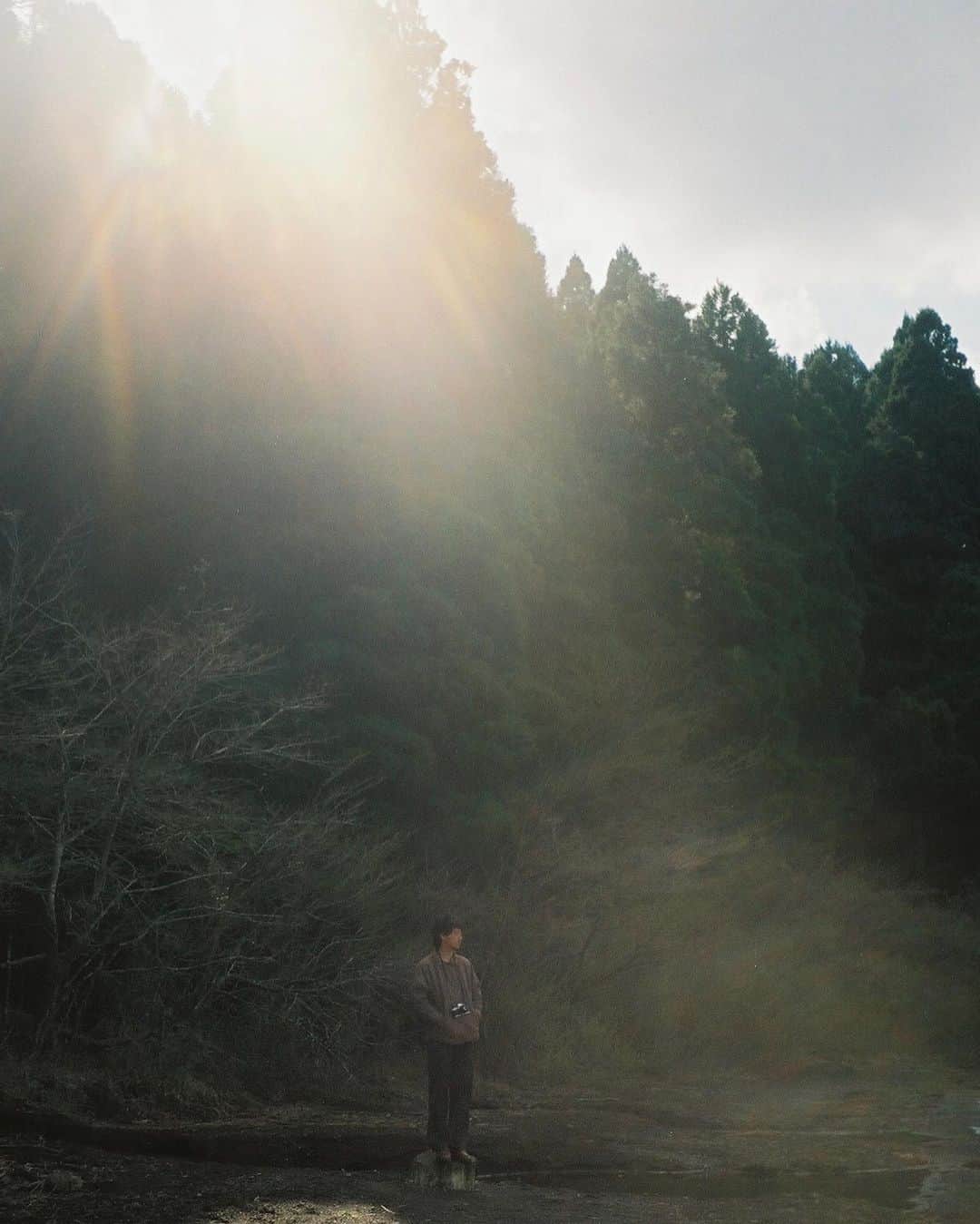 yuikoのインスタグラム：「curtain of sunshine✨🌳🚿 #35mm」
