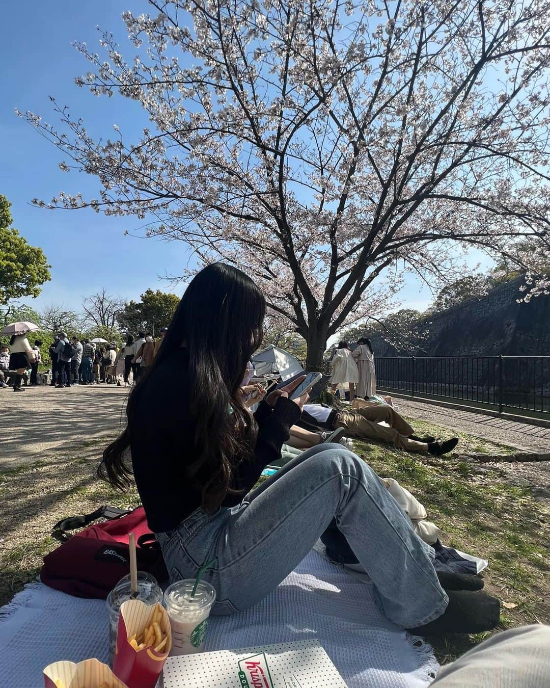 スズさんのインスタグラム写真 - (スズInstagram)「4年ぶりくらいにアンと2人でお花見デート📆💔 そしてサボりつつあったbereal」4月1日 20時33分 - suzunskd