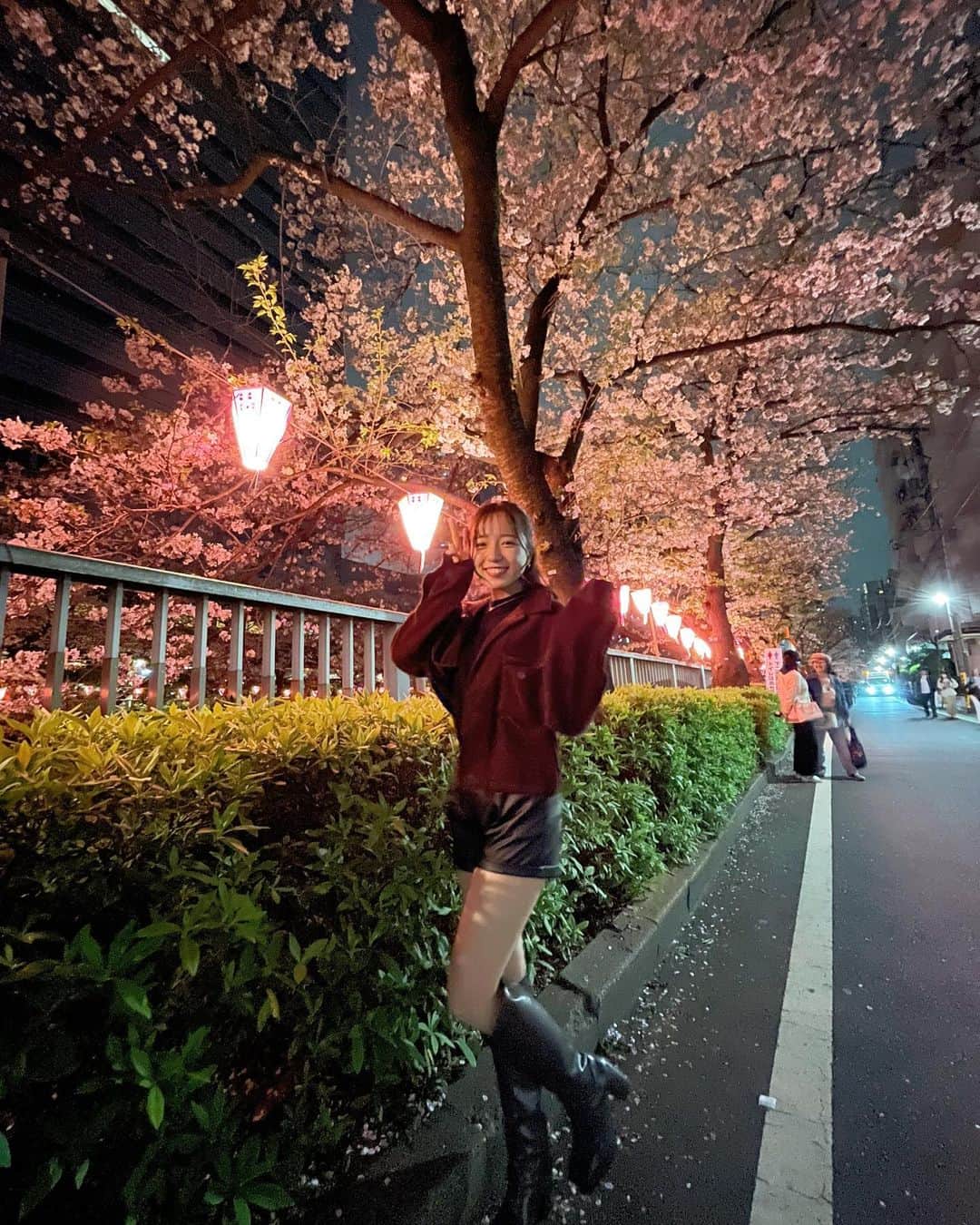 神岡実希さんのインスタグラム写真 - (神岡実希Instagram)「ー 夜桜🌸 #夜桜 #桜 #さくら #目黒川」4月1日 20時42分 - miki_kamioka