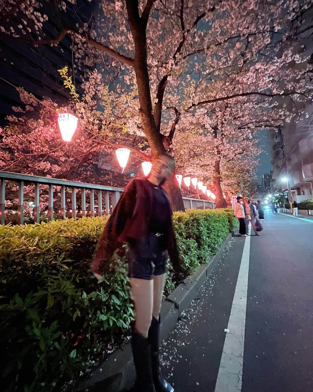 神岡実希さんのインスタグラム写真 - (神岡実希Instagram)「ー 夜桜🌸 #夜桜 #桜 #さくら #目黒川」4月1日 20時42分 - miki_kamioka